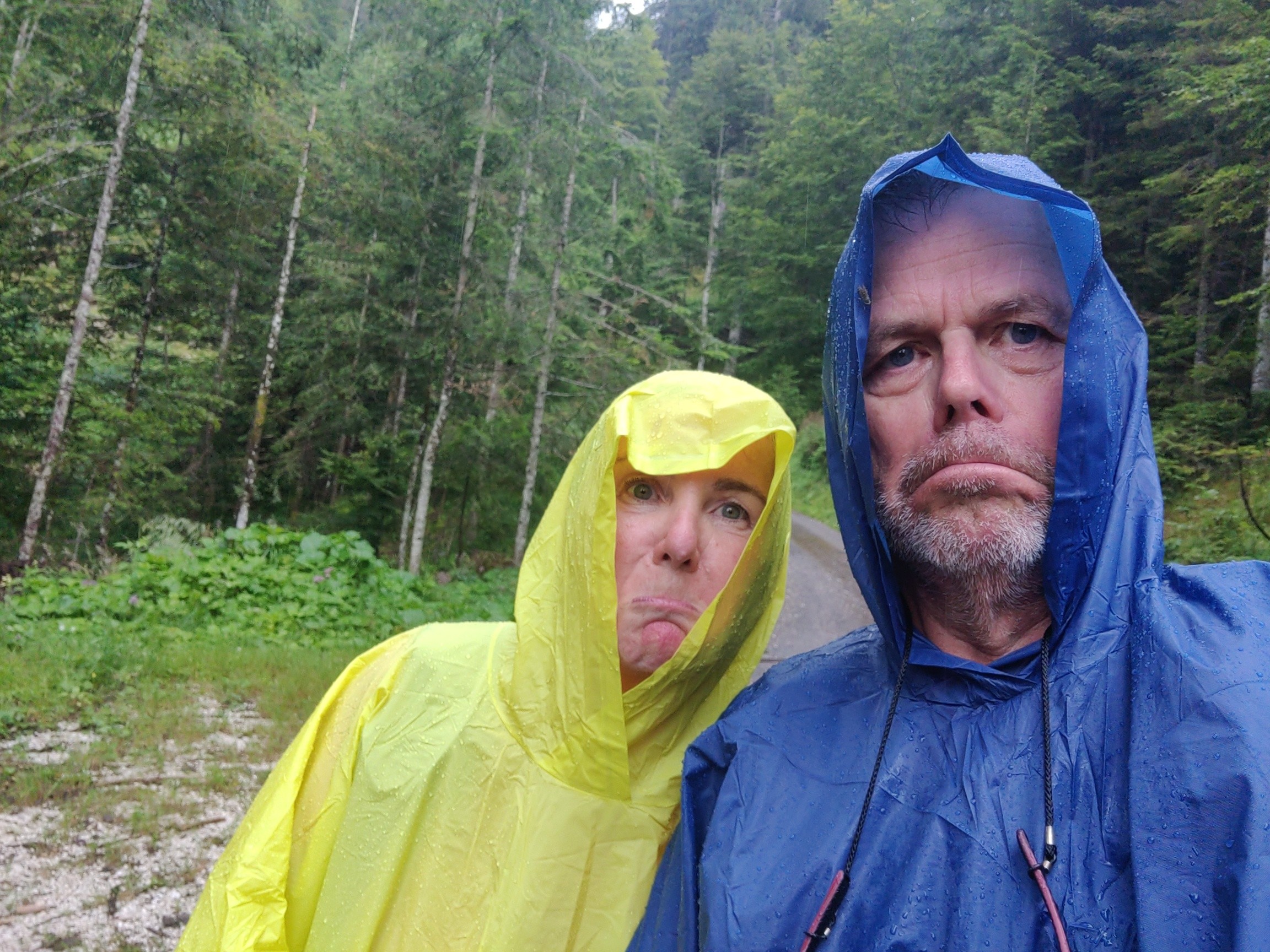 A person with a yellow poncho and another with a blue one stand in a rainy forest looking miserable