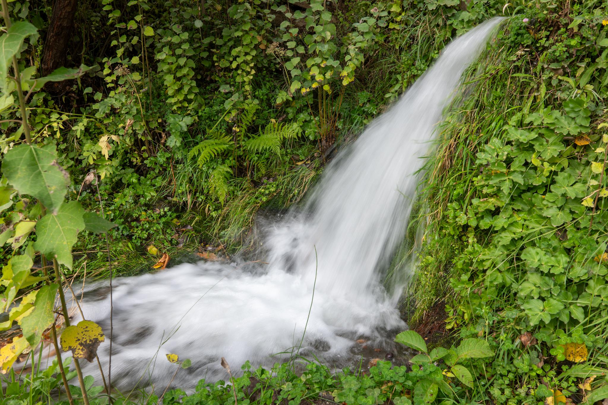Water tumbles down a step in an irrigation channel. Surrounded by green shrubs