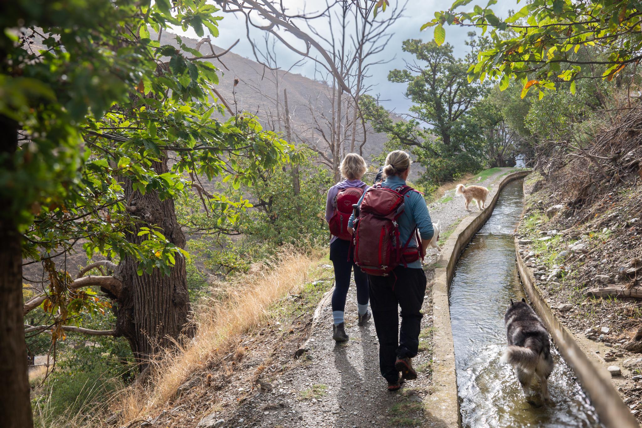 Walking alongside an irrigation channel