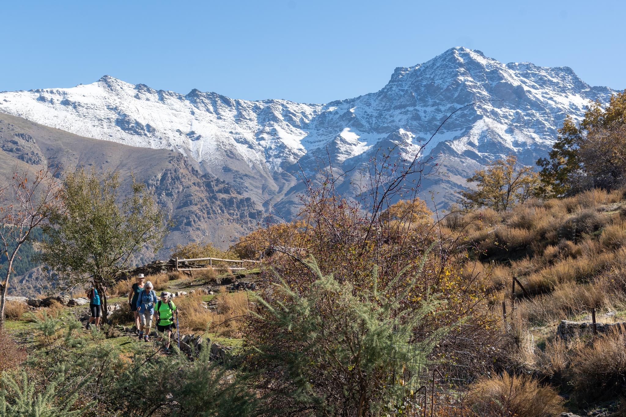 Hikers on the left descend a path. behind rises a big  mountain with snow on it, Alcazaba 3371m