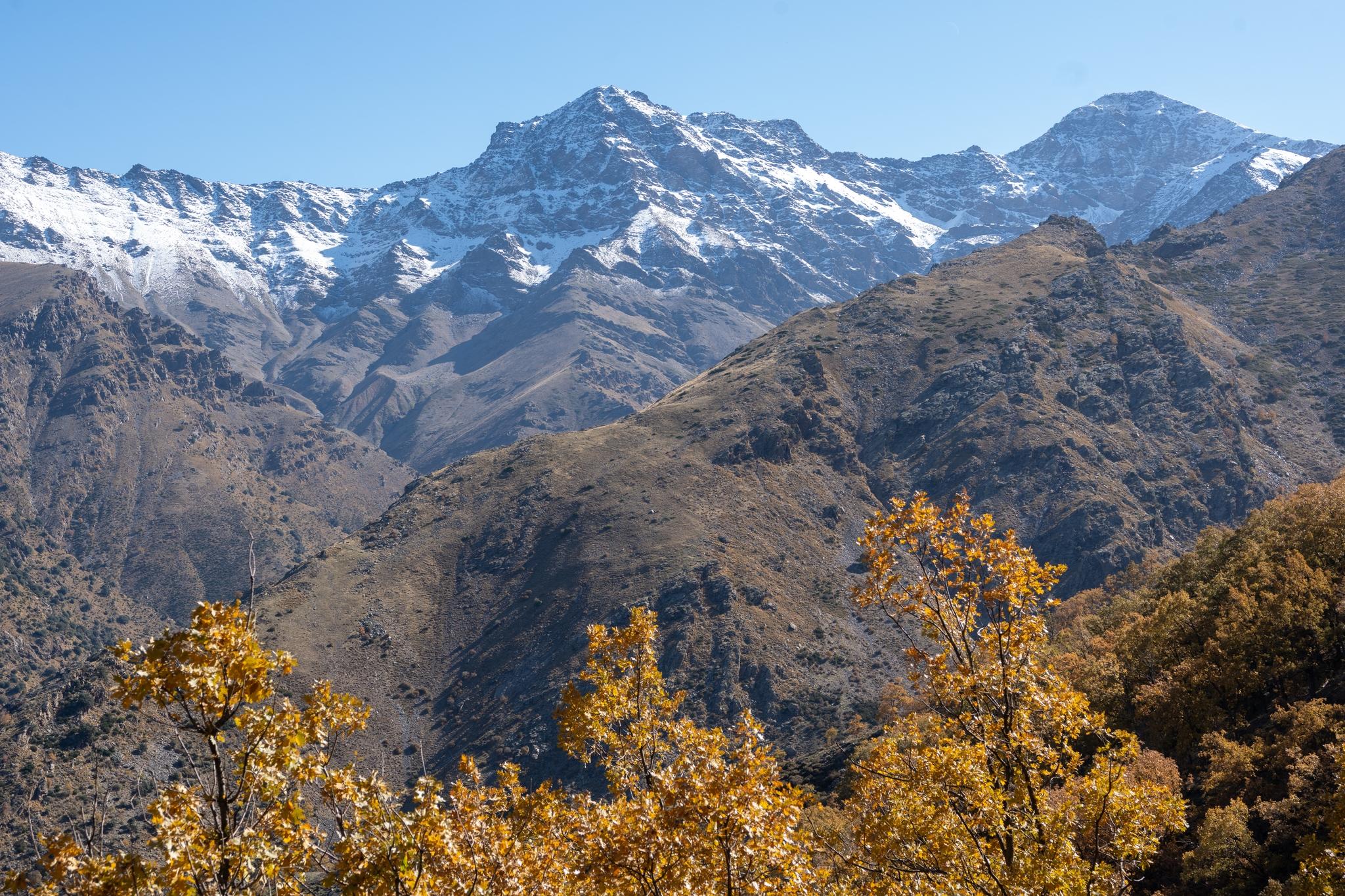 The mountains of Alcazaba and Mulhacen rise above valleys and a golden forest of trees