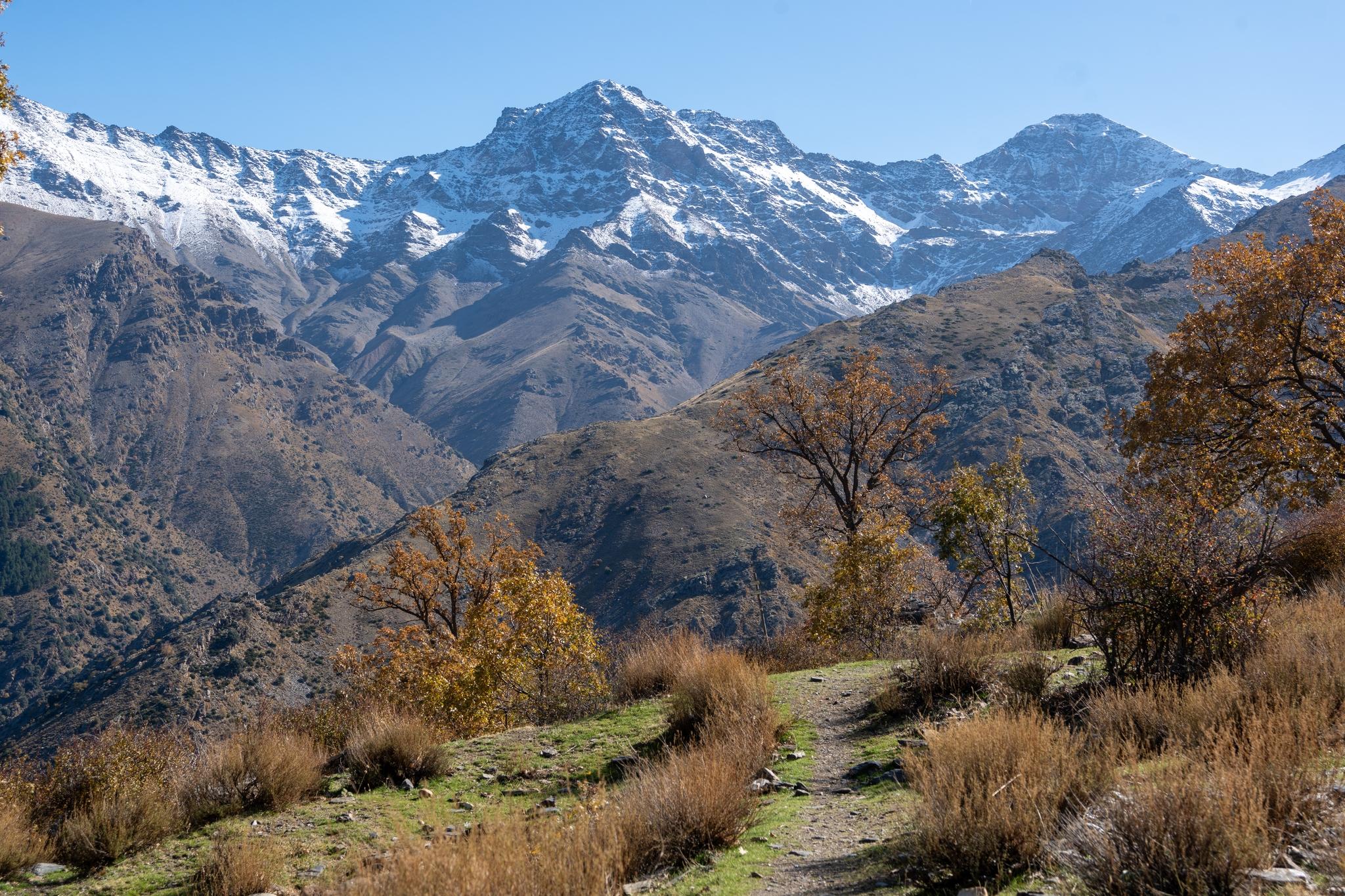 The mountains of Alcazaba and Mulhacen rise above valleys and a golden forest of trees. A hiking trail approaches to the right