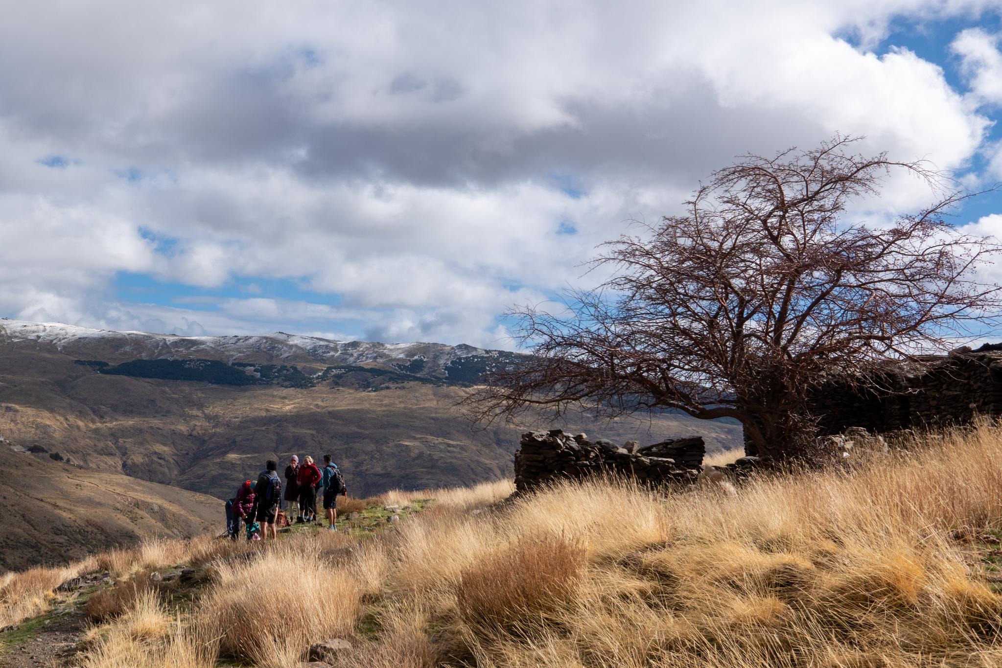 A lonely tree and ruined "cortijo" are to the right of a group of hikers. Cloudy skies with some blue coming through