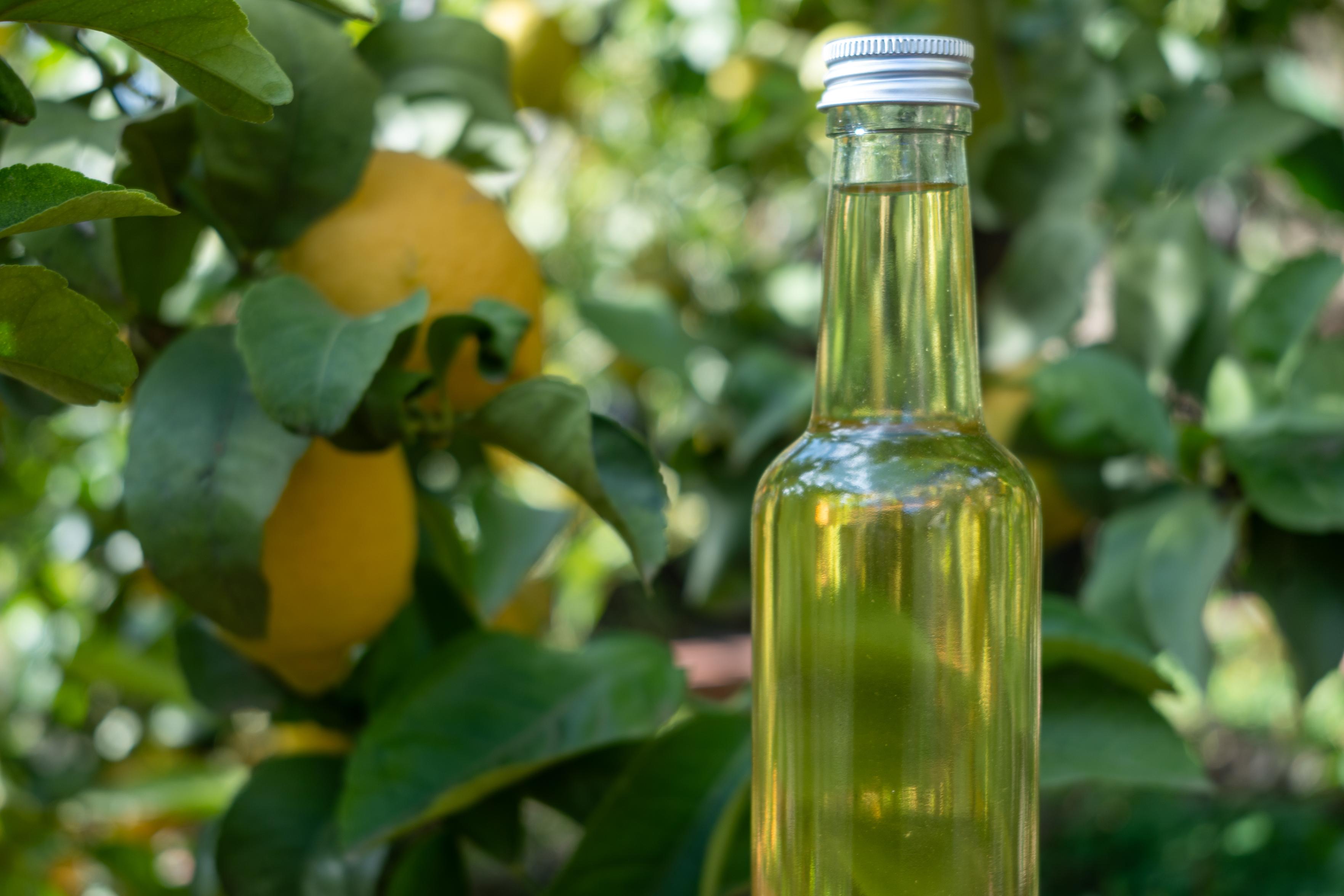 Two whole lemons are at the left in some trees. To their right is a glass bottle containing a lemon colored liquid