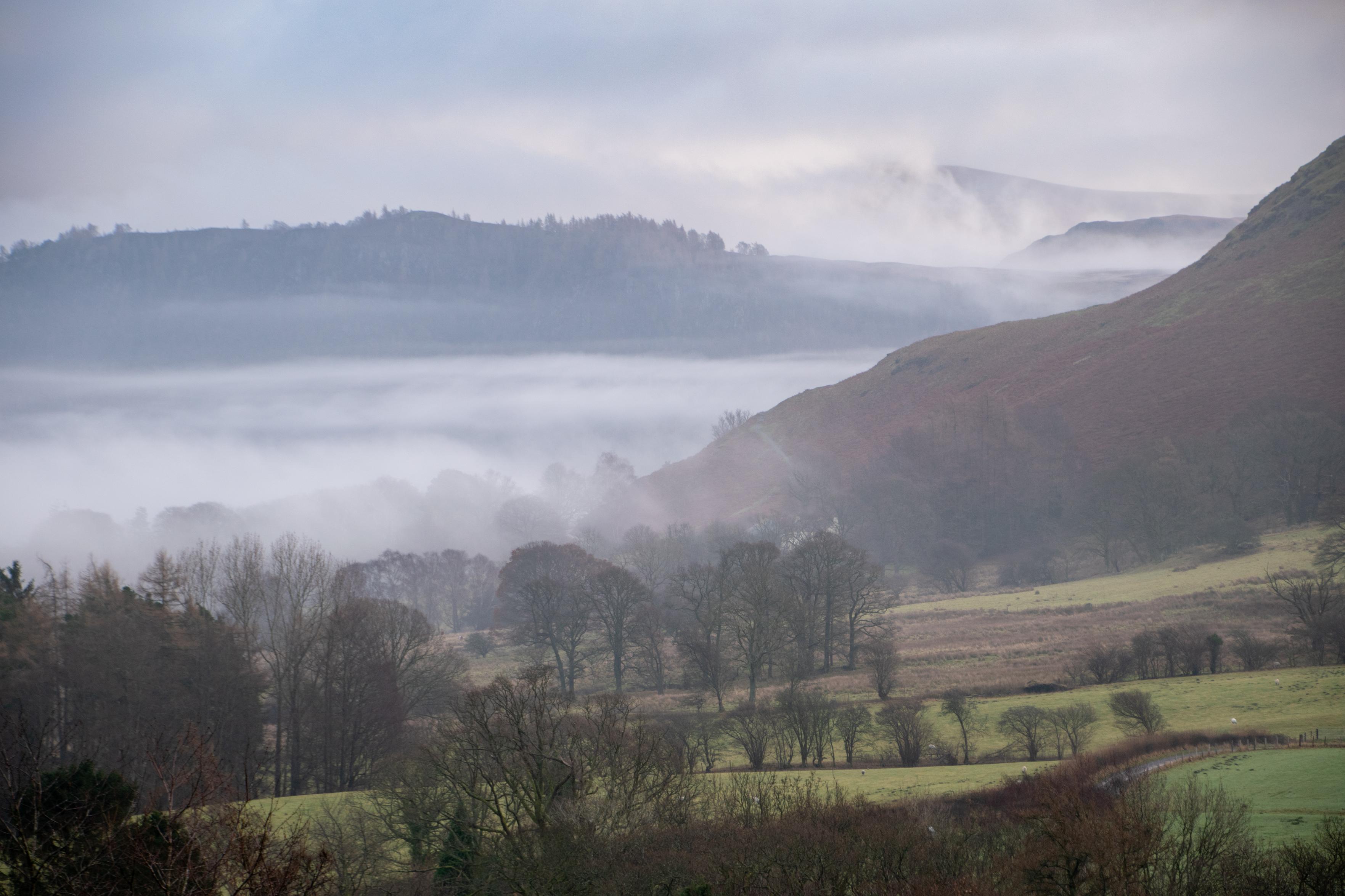 Looking across the Newlands Valley from Stairwith fields and tress intertwined with low mists