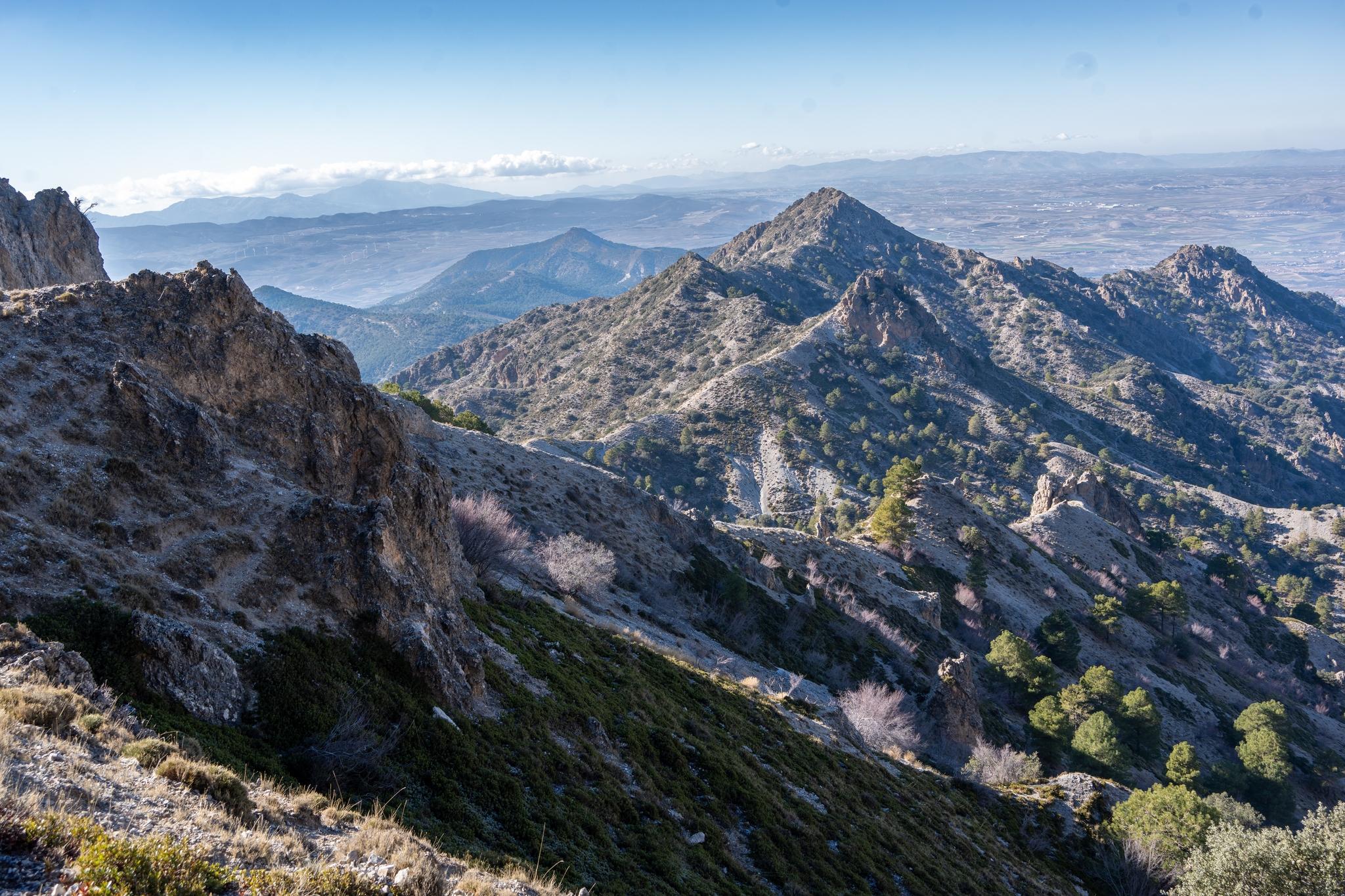 Looking west towards the peaks of Picacho Alto range
