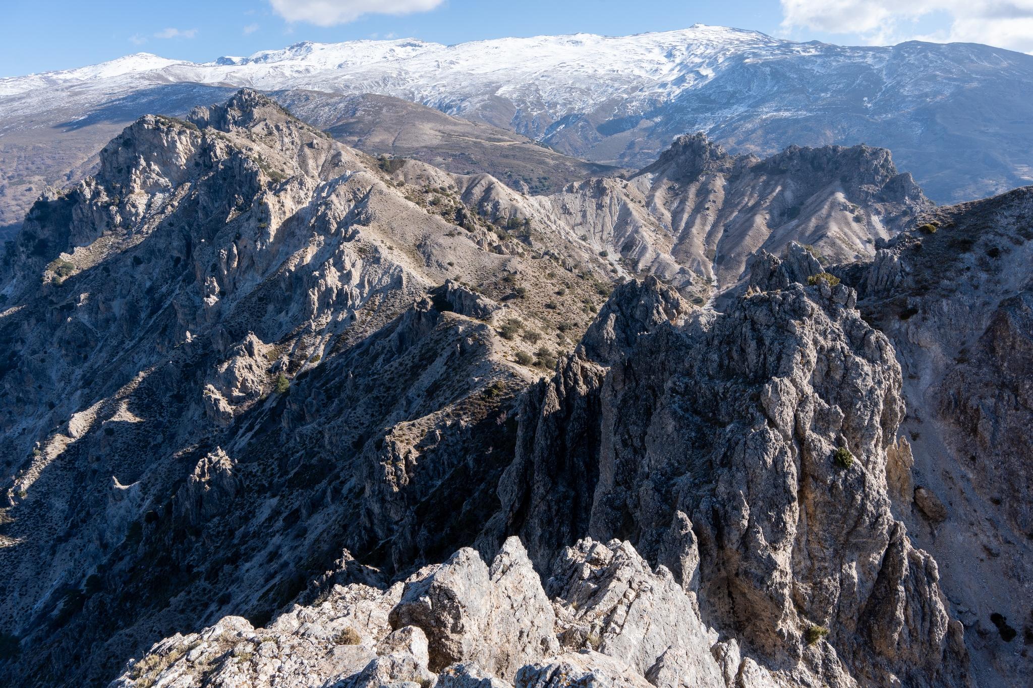 View east to the main snow covered Sierra Nevada range