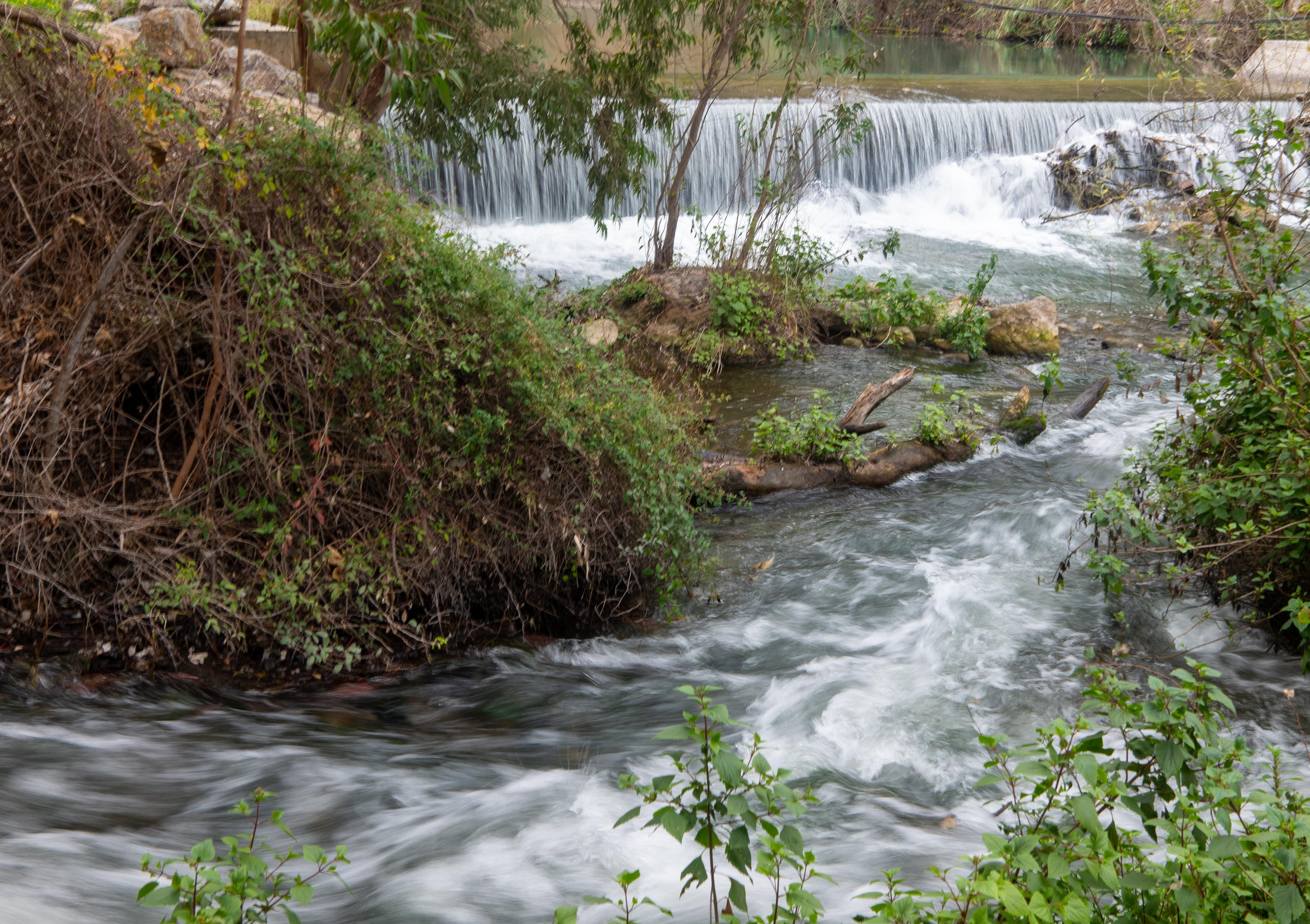A river tumbles over a fall and joins a side stream coming in from the bottom left. Banks are lined with plants and dense shrubbery.