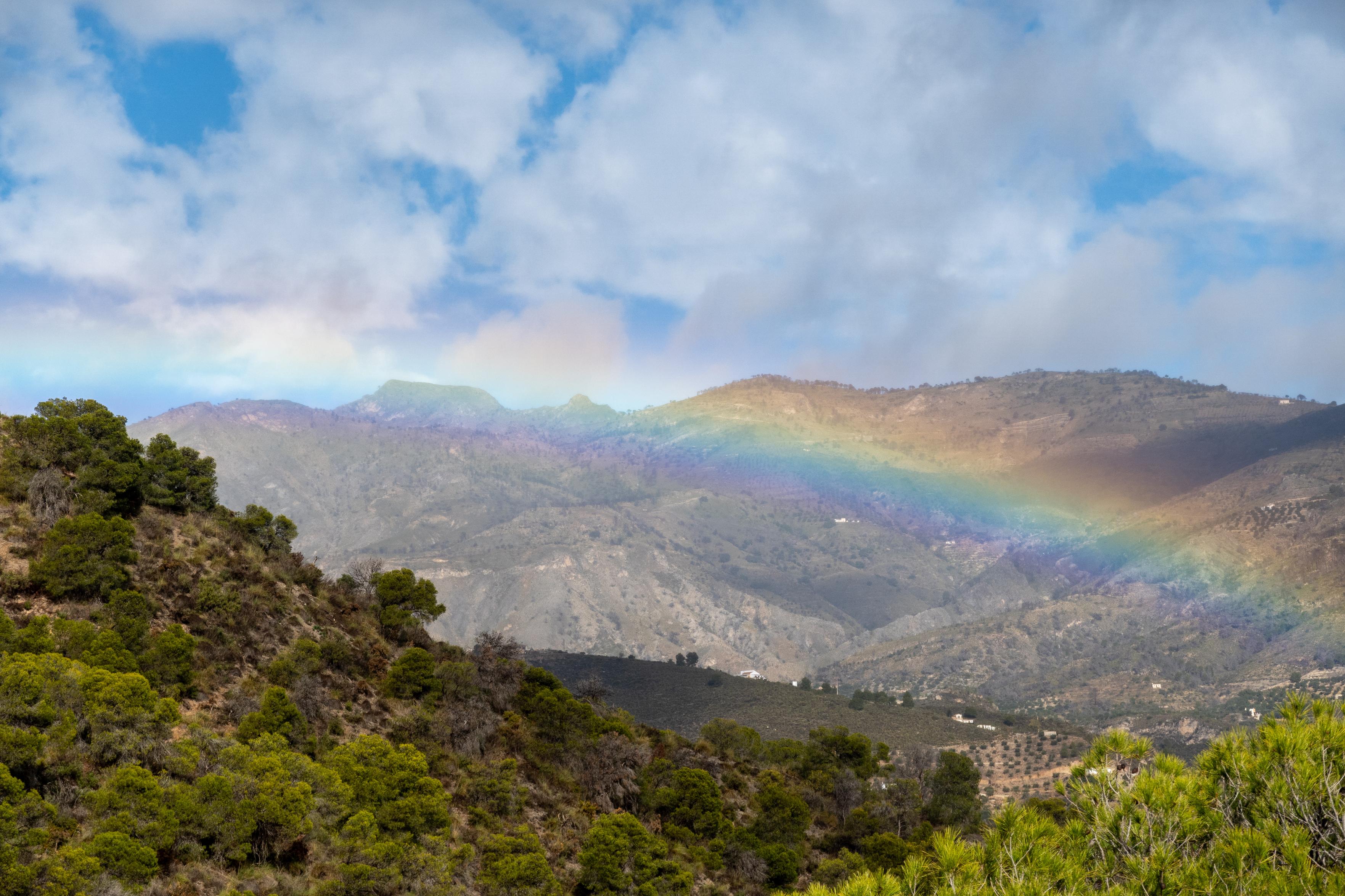 green woods and forests in the foreground and a huge rainbow behind. White clouds above with patches of blue sky poking through