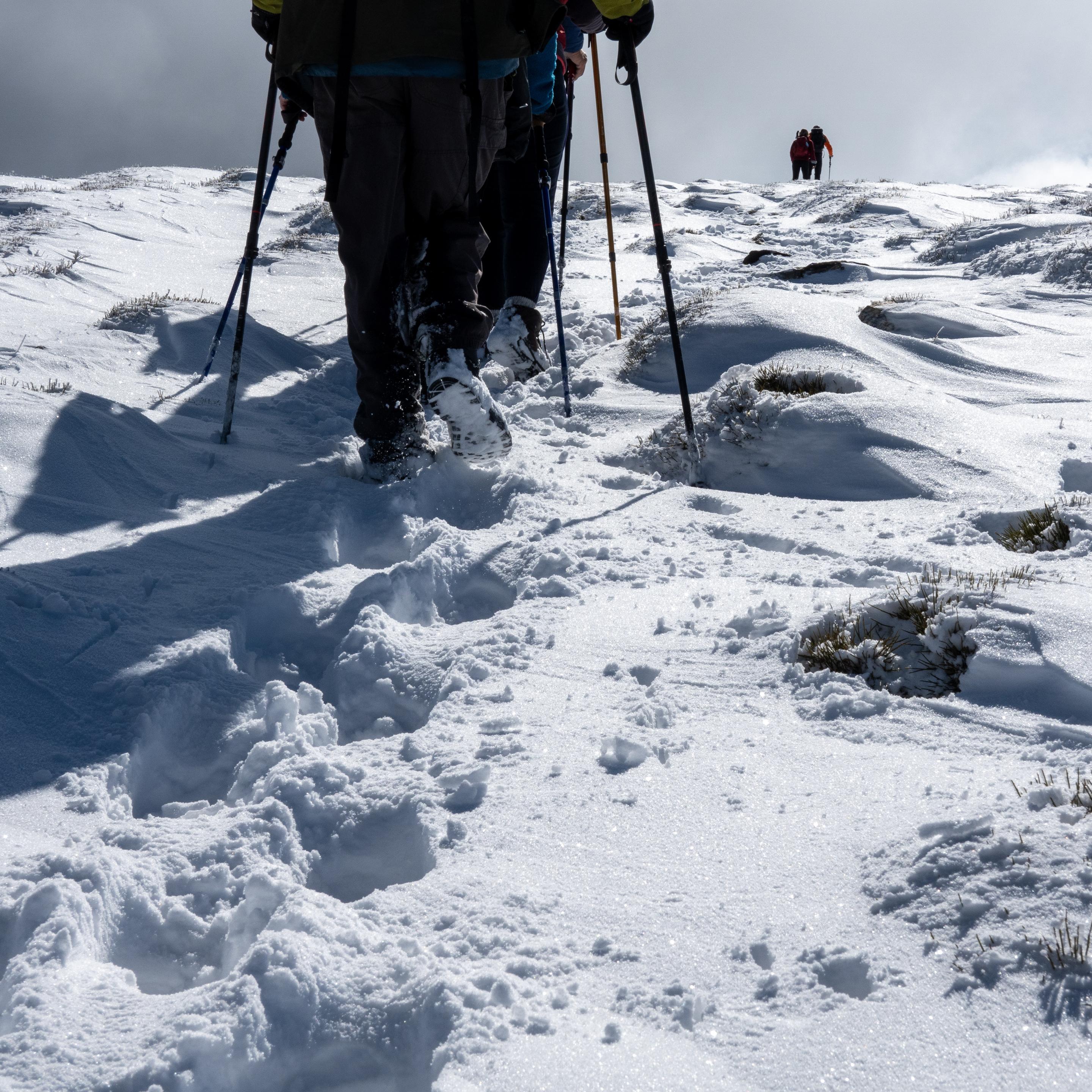 A group of hikers break trail uphill through fresh powder snow