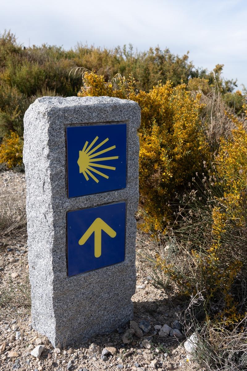 A signpost with a yellow shell and arrow on a blue background. The classic "Camino" sign
