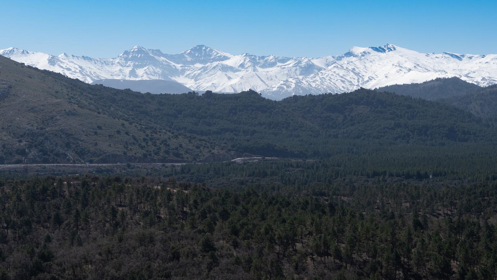 View south towards the highest peaks of the Sierra Nevada past the forests of the Sierra de Huetor.