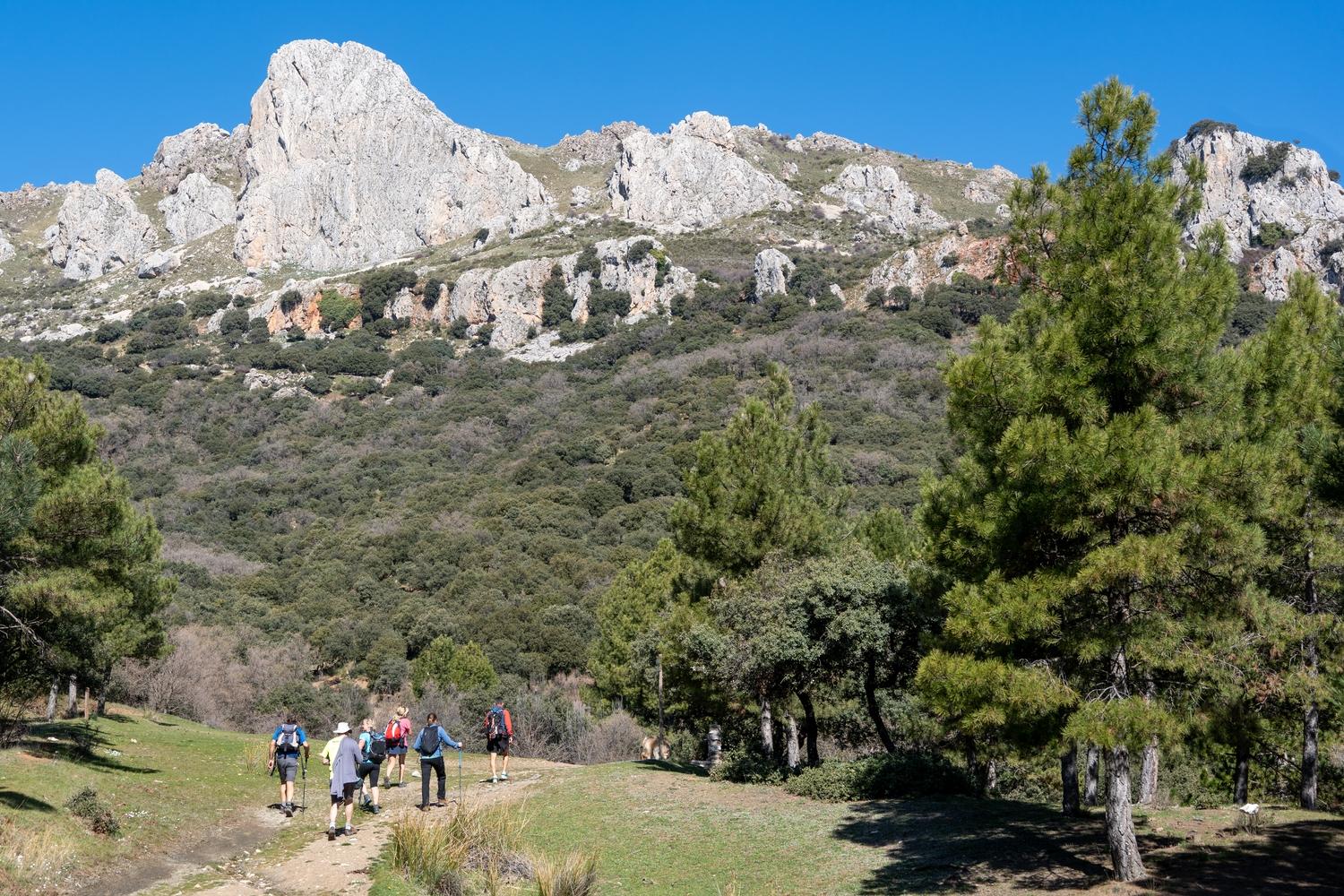 Hikers stood on a grassy pass with some rocky peaks looming above them