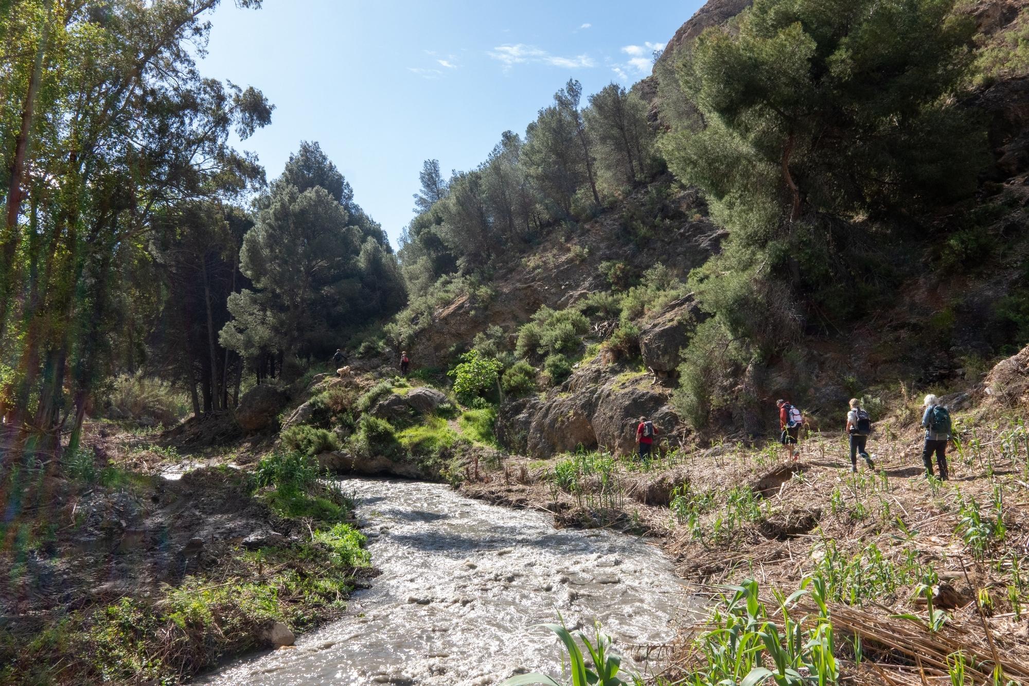 A group of hikers are walking alongside the right hand bank of a muddy river. Green shrubs and trees adorn the river banks