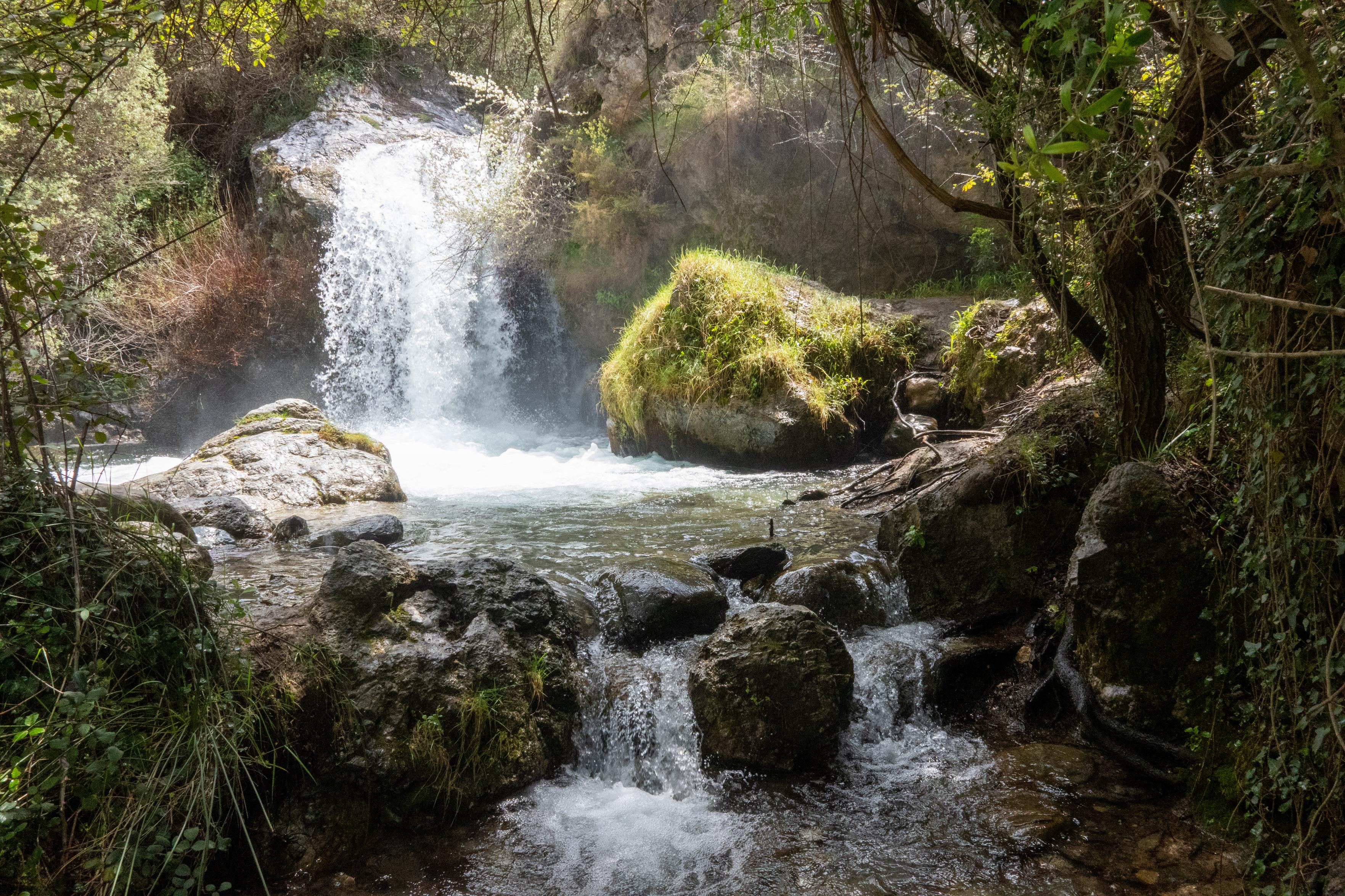 A waterfall falls down into a pool and then further down through smaller falls. There is plenty of green plants and undergrowth