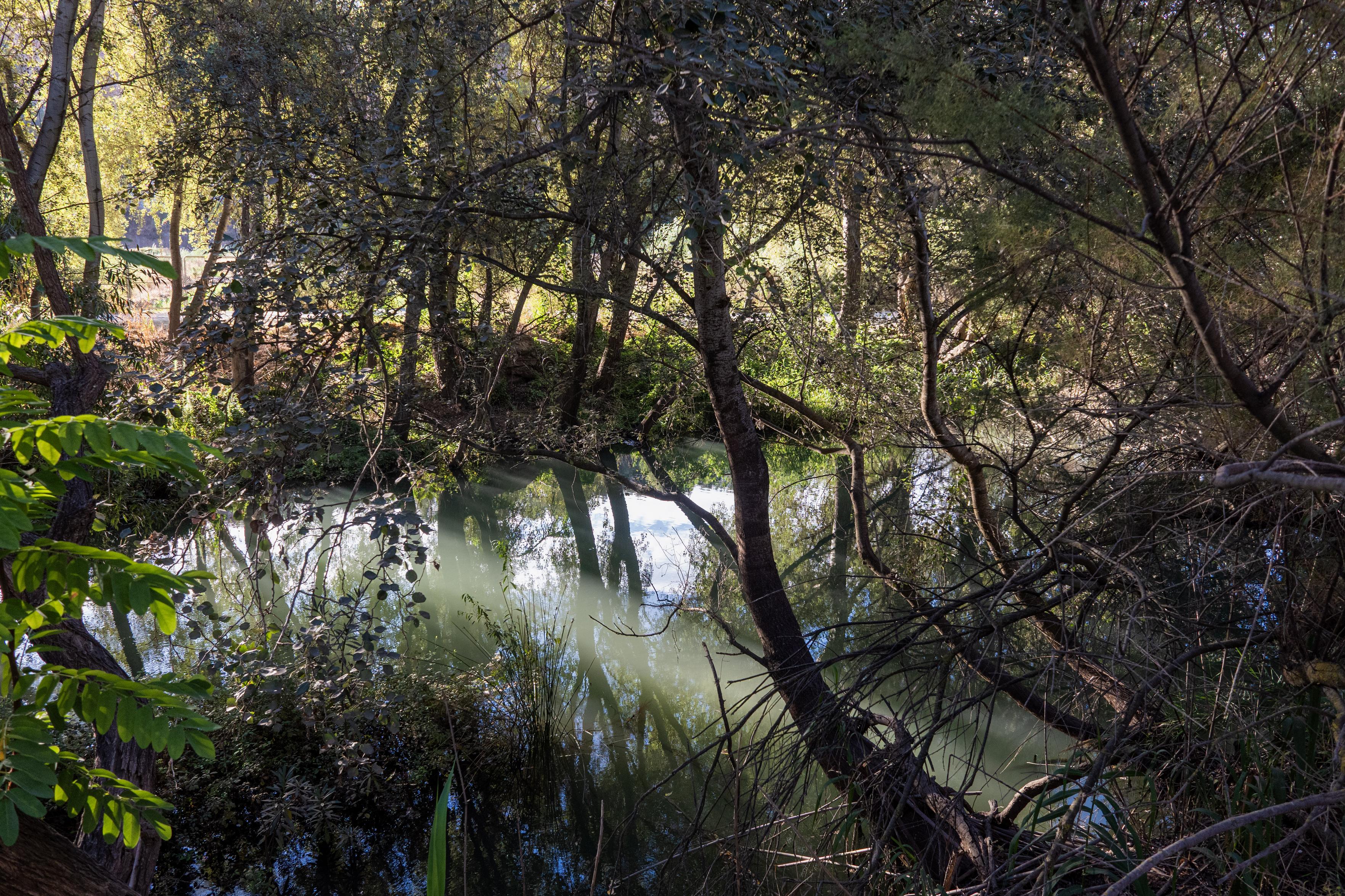 Quiet serene river waters reflect the surrounding vegetation and trees. Patches of sunlight filter through