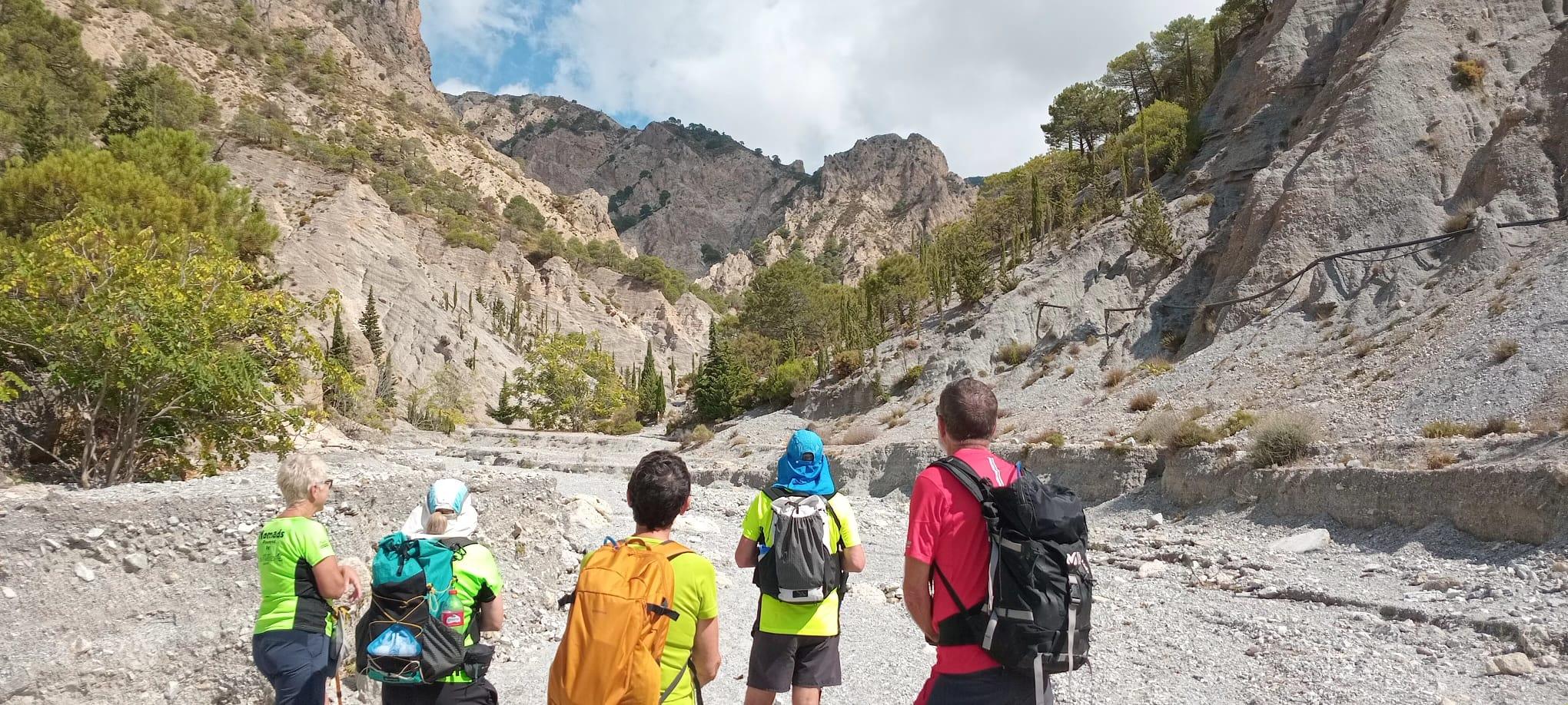 5 hikers gaze up into the heart of the rough arid valley of the Rambla del Durcal