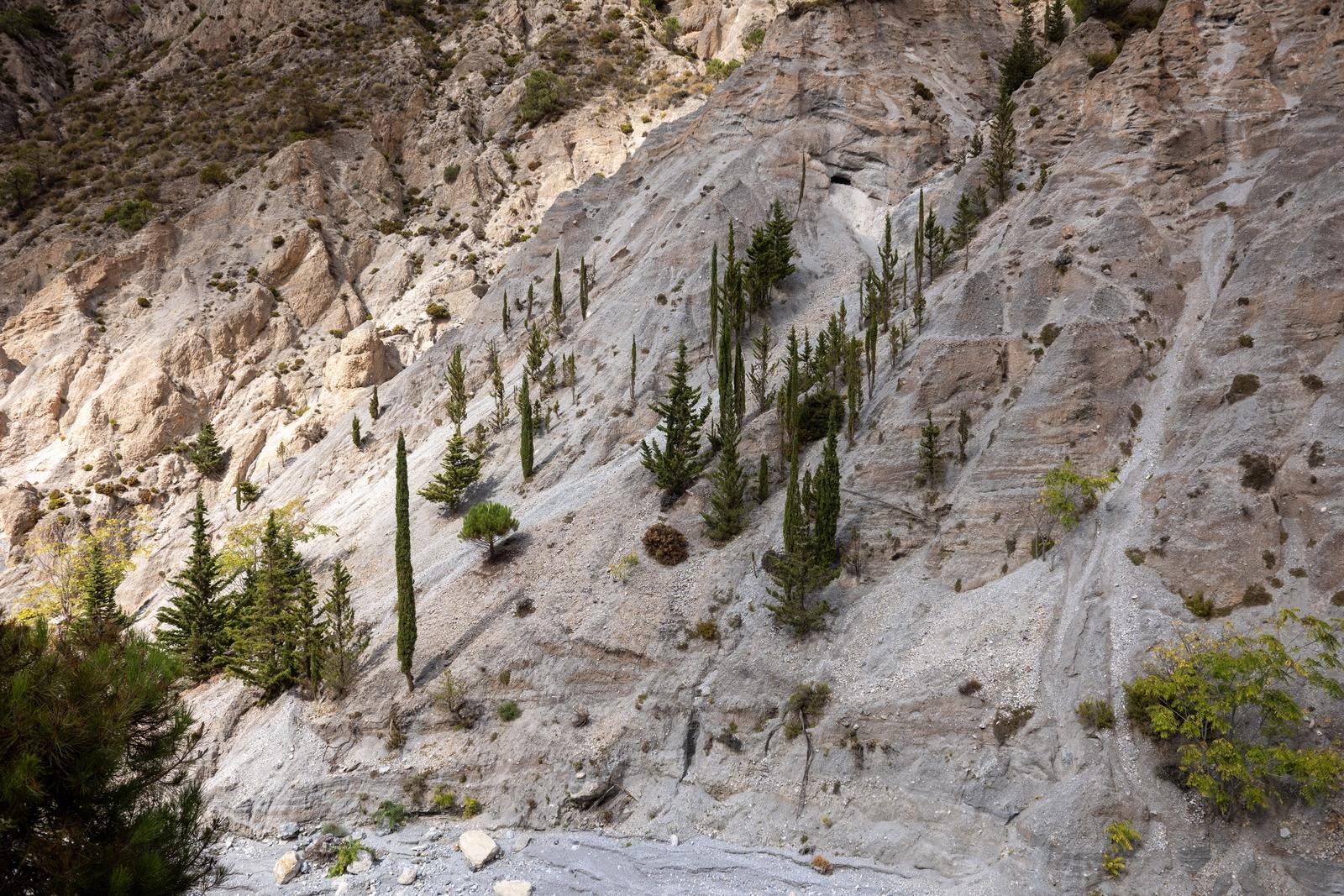Barren arid hillsides with a few surviving trees sticking out of the bare earth