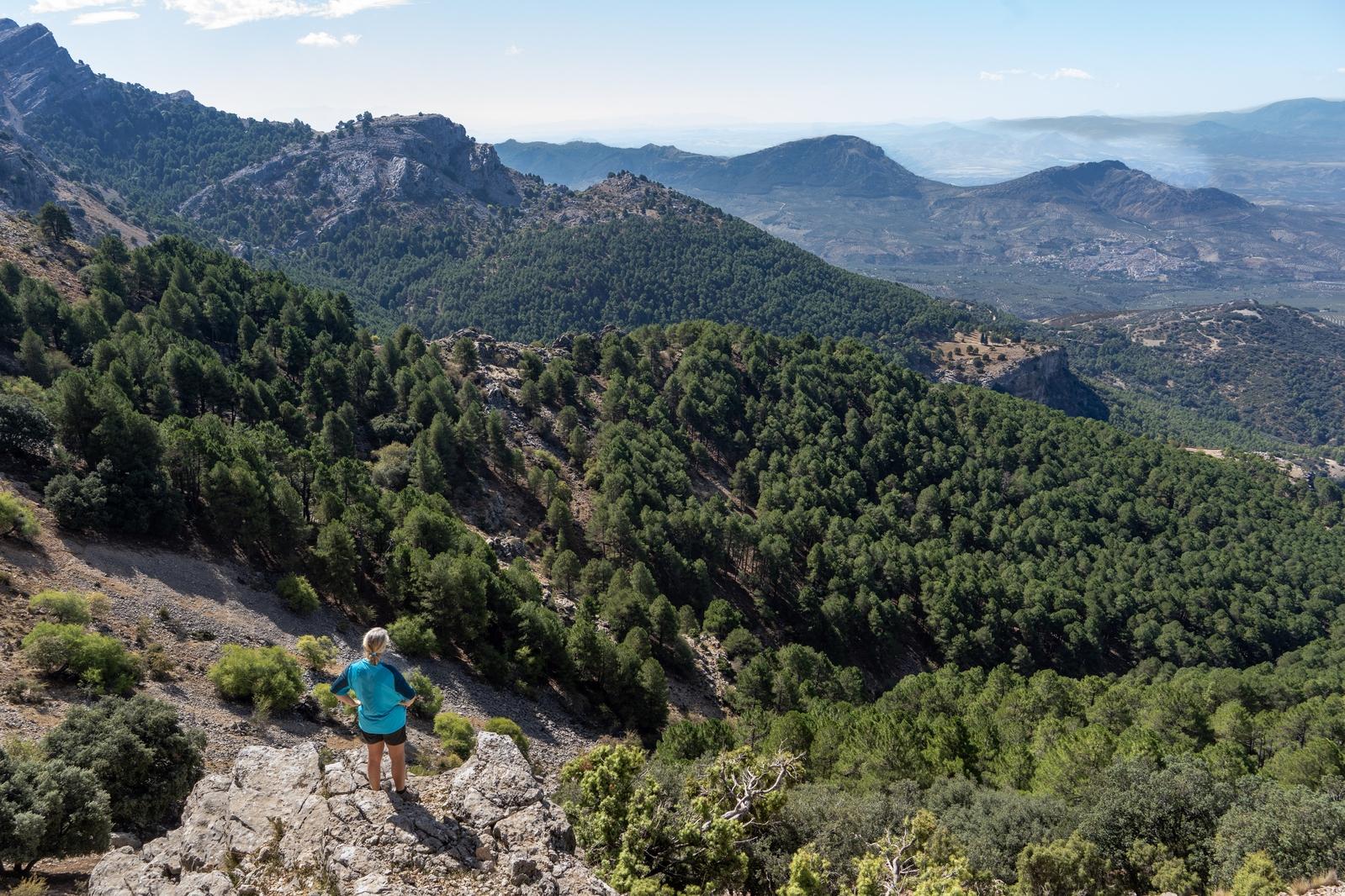 A person with blue shirt stands on a rock looking down over hills and forests