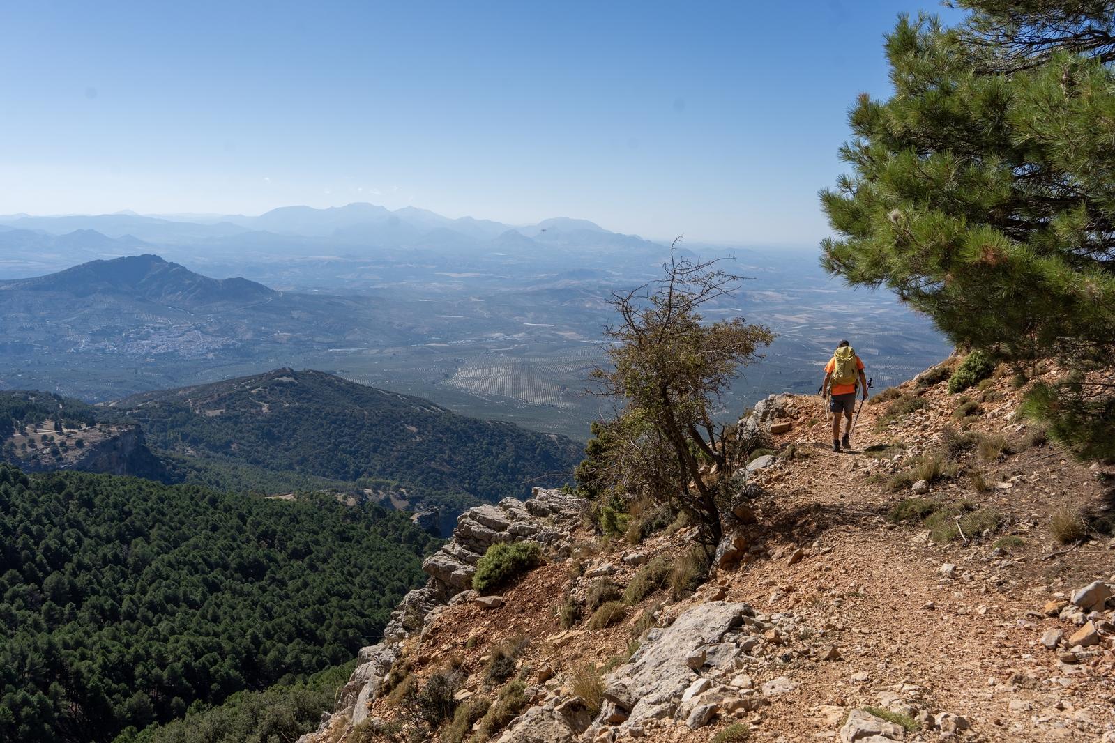 A person in red walks along a high trail between two trees. There is a drop to the left