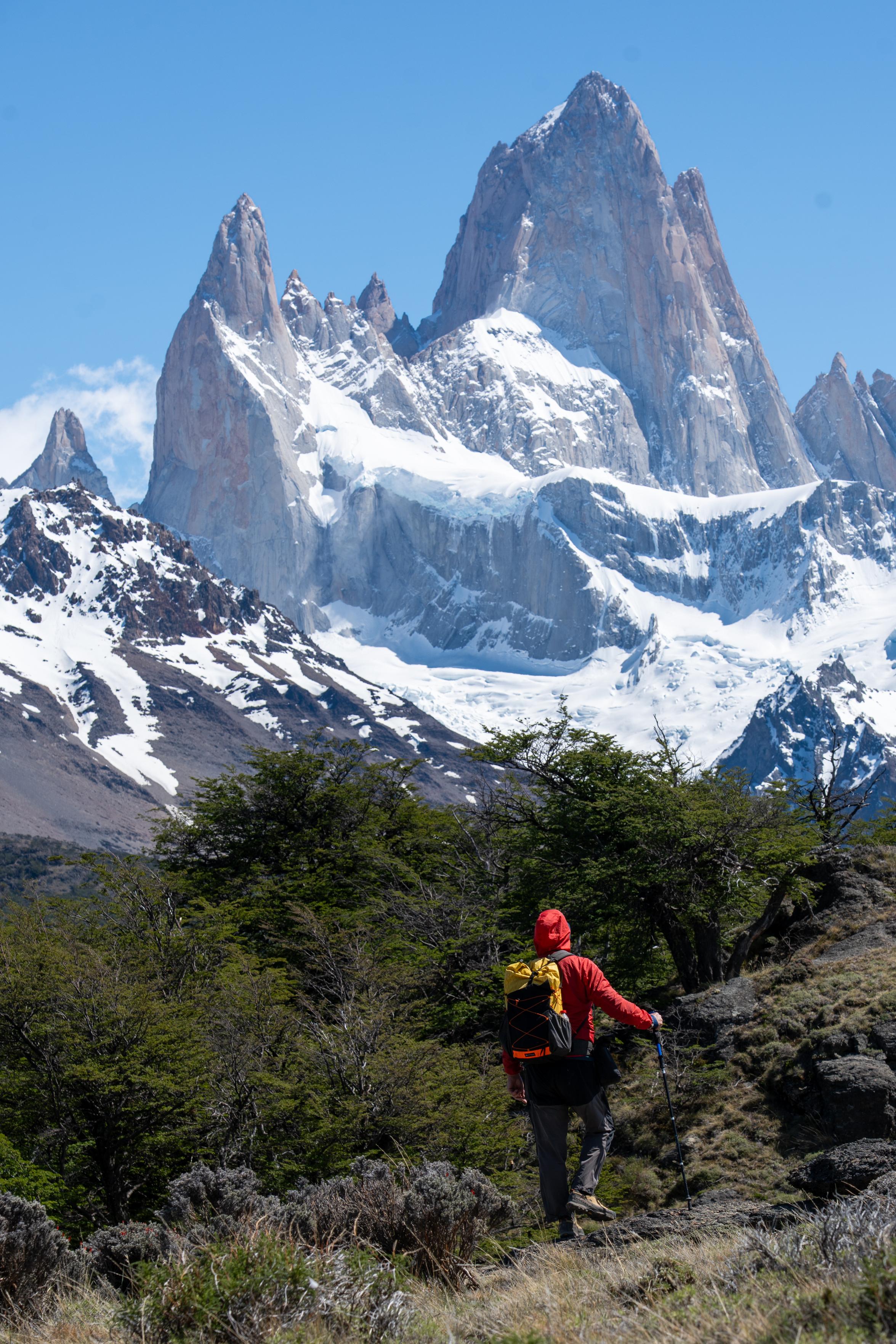 A person (me) walks through green bushes on a trail leading to a huge mountain with snow on it