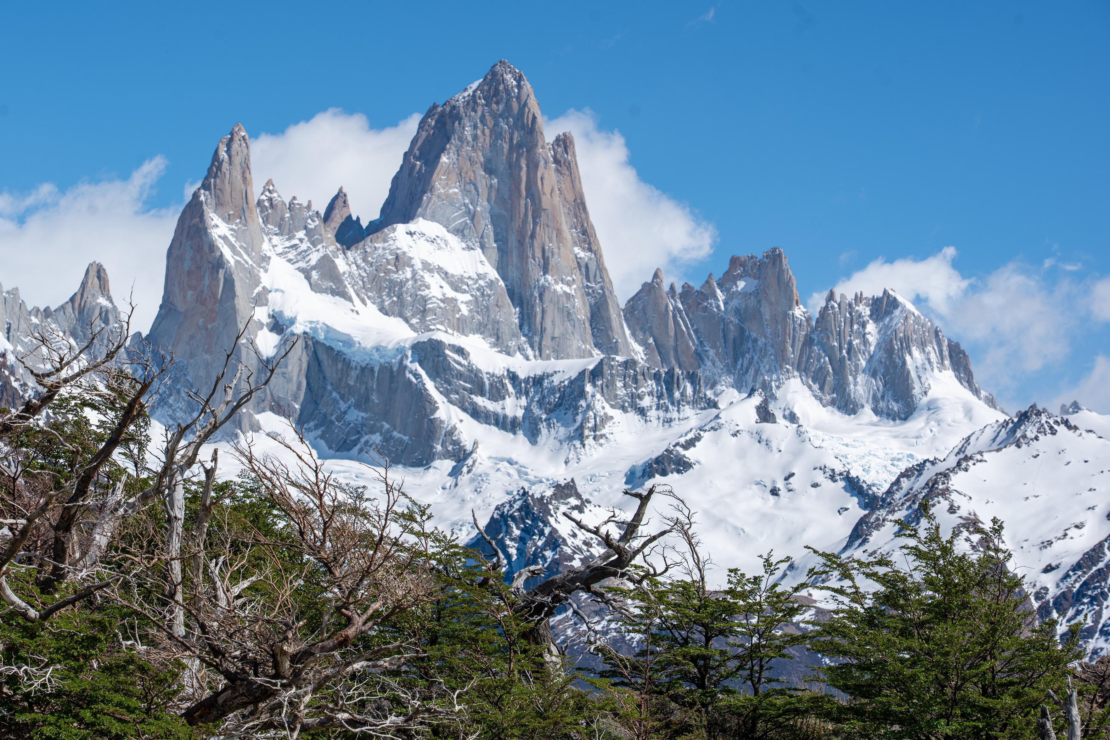 Above some chaotic trees rises a huge mountain with snow. Blue sky above