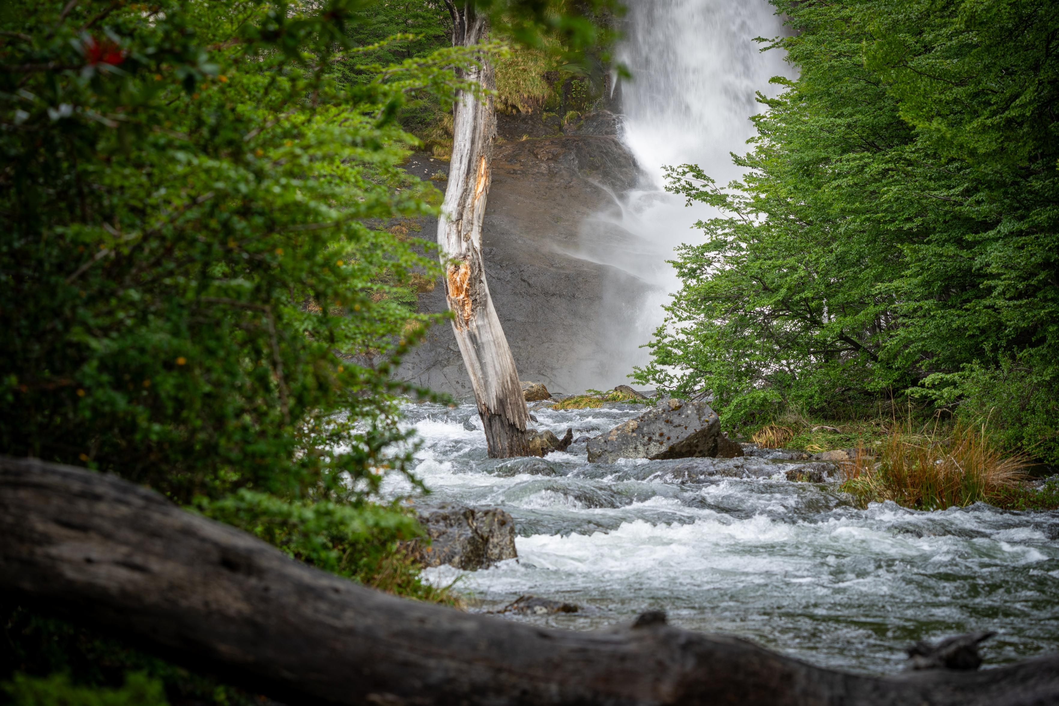 A tree trunk in the foreground is out of focus. Leads the eye beyond to a white water river. Beyond a bare broken tree the signs of a big waterfall