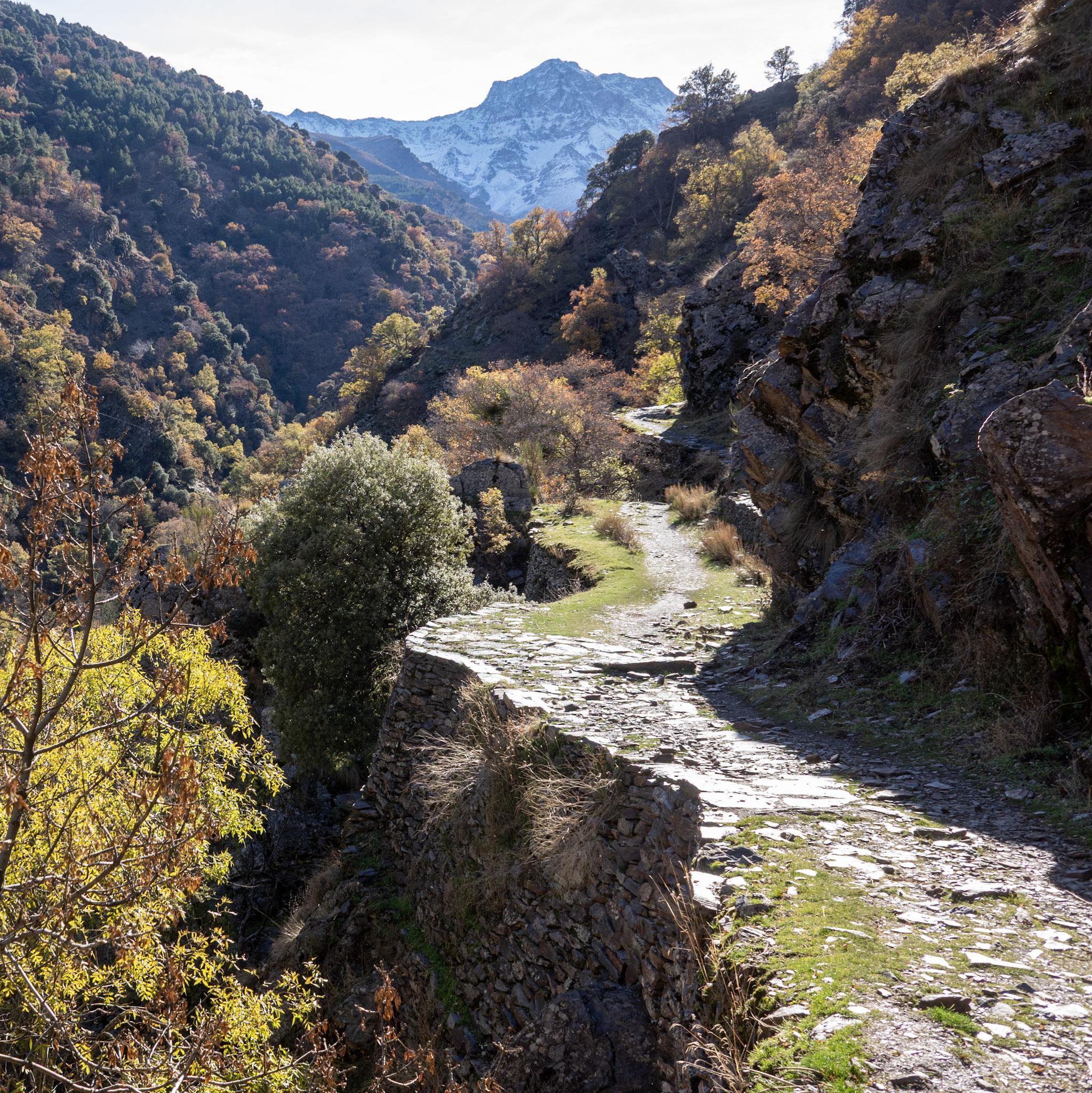 A path winds its way along a mountainside surrounded by autumnal colored trees. In the background the snow slopes of a mountain (Alcazaba)