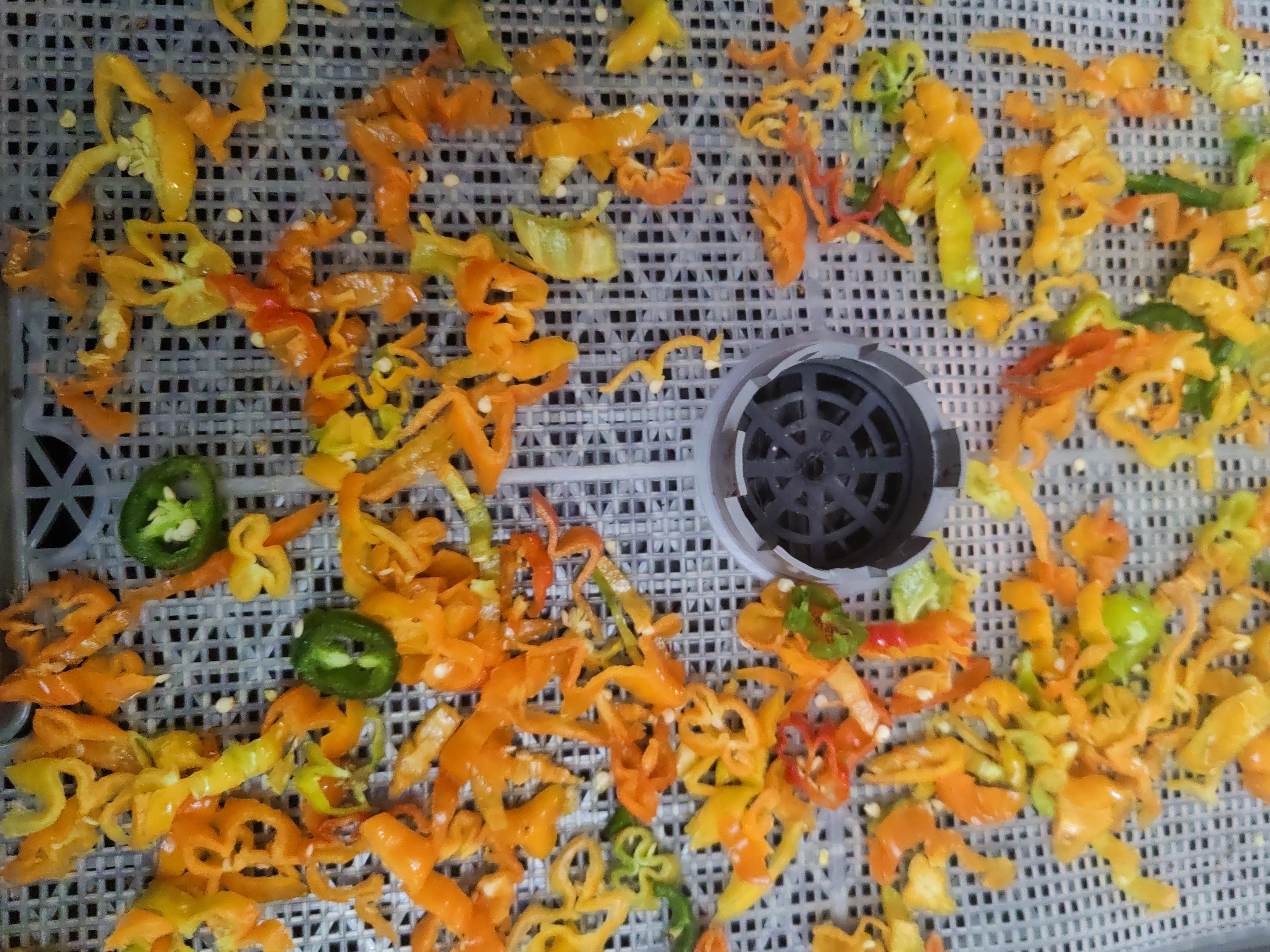 A dehydrating tray full of colorful chilies