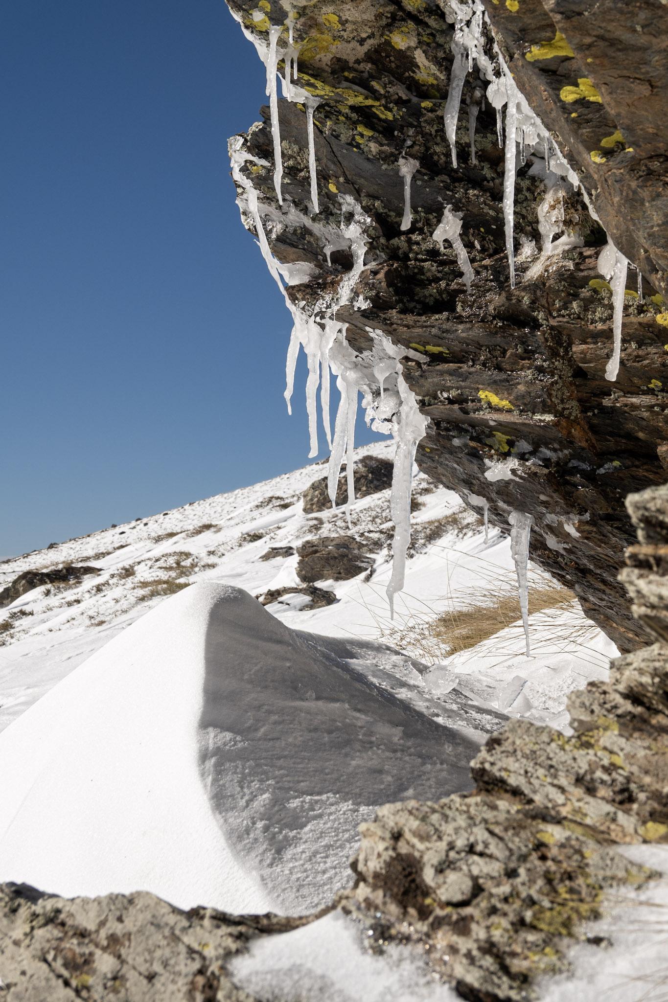 Curly icicles hang down from a rock decorated with some lichen. Snow to the left