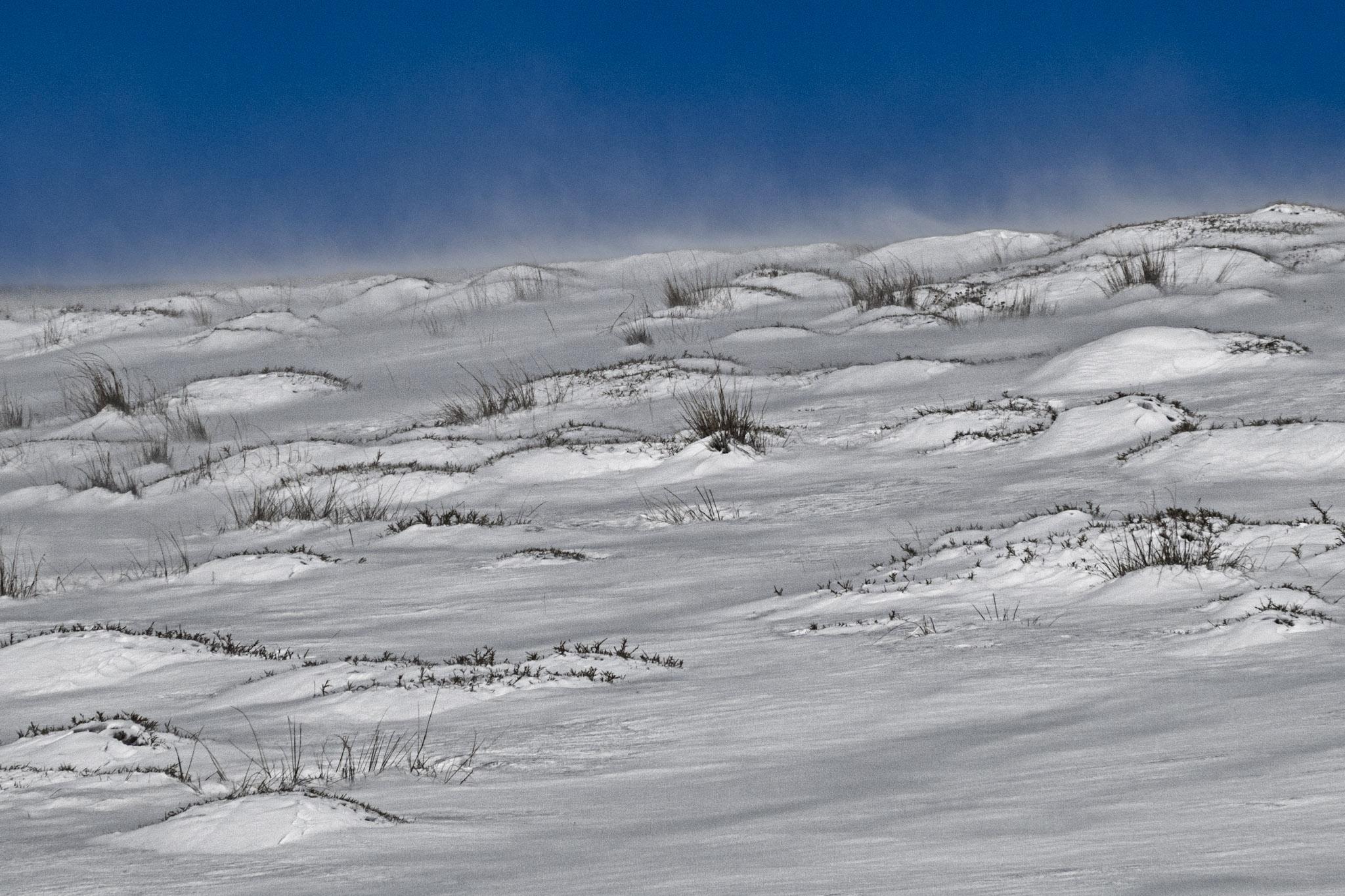 Wind blown bare slopes with some brave grasses reaching out above the snows.