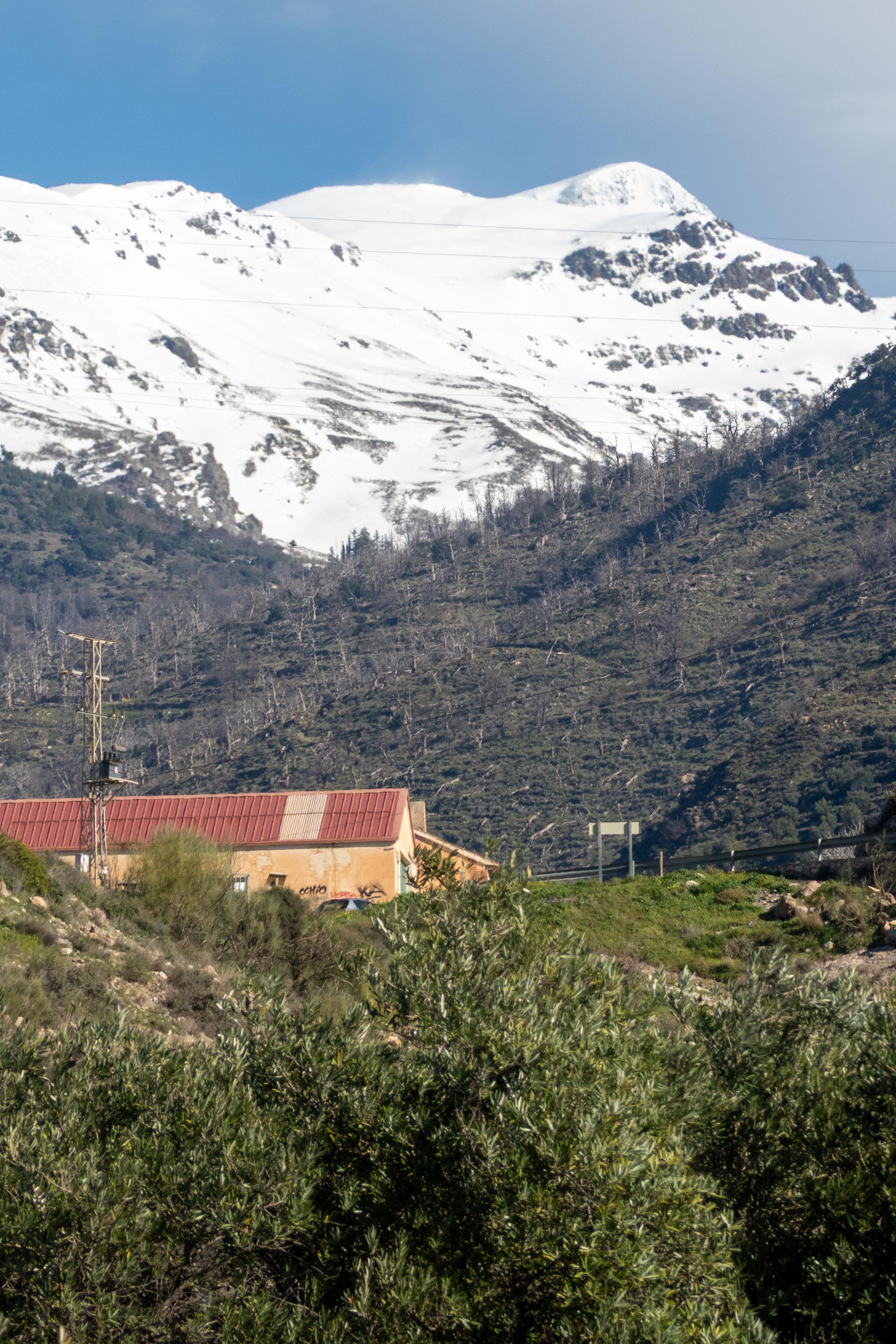 A building with red roof sits below forested slopes capped by white snow leading to a mountain summit.