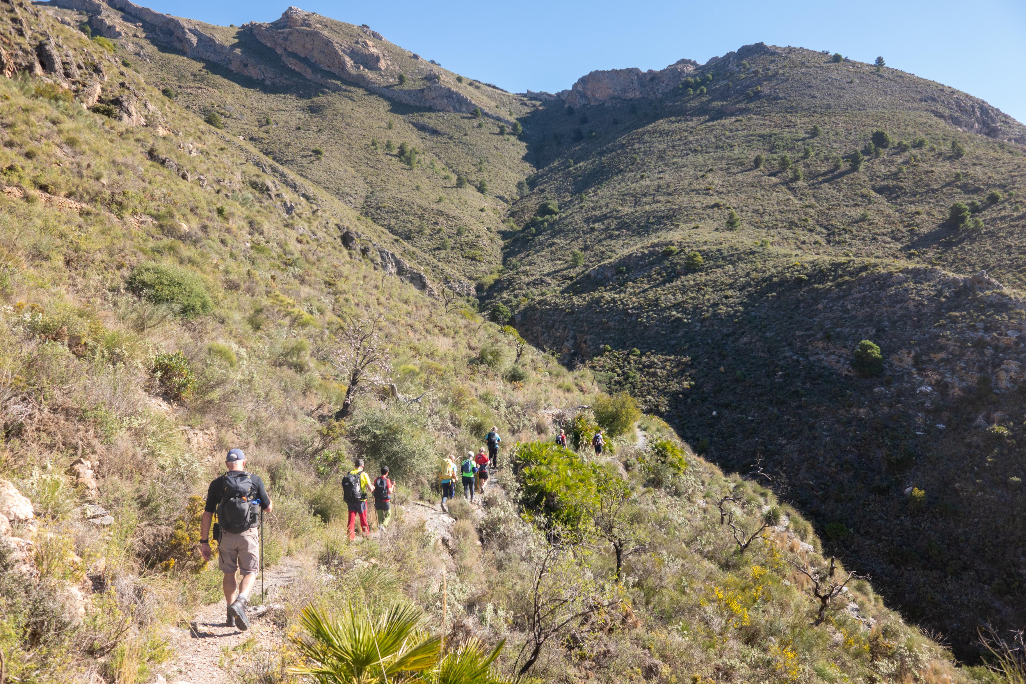 A group of hikers traverse a hillside on a trail  leading into a small gorge.