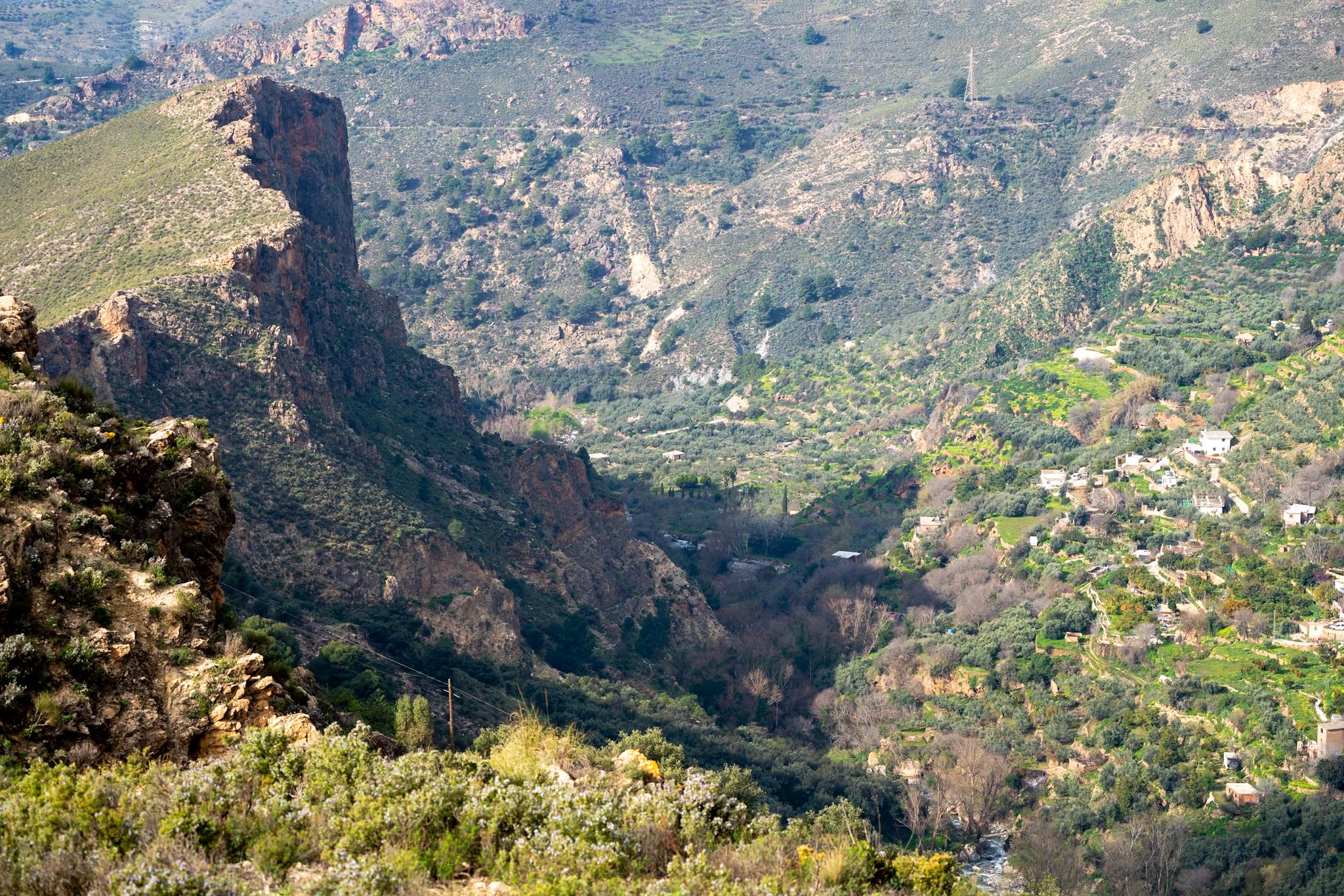 Looking down a deep river valley. Cliffs of the Tajos del Colorado are to the left and small cortijos on the sunlit shelf to the right