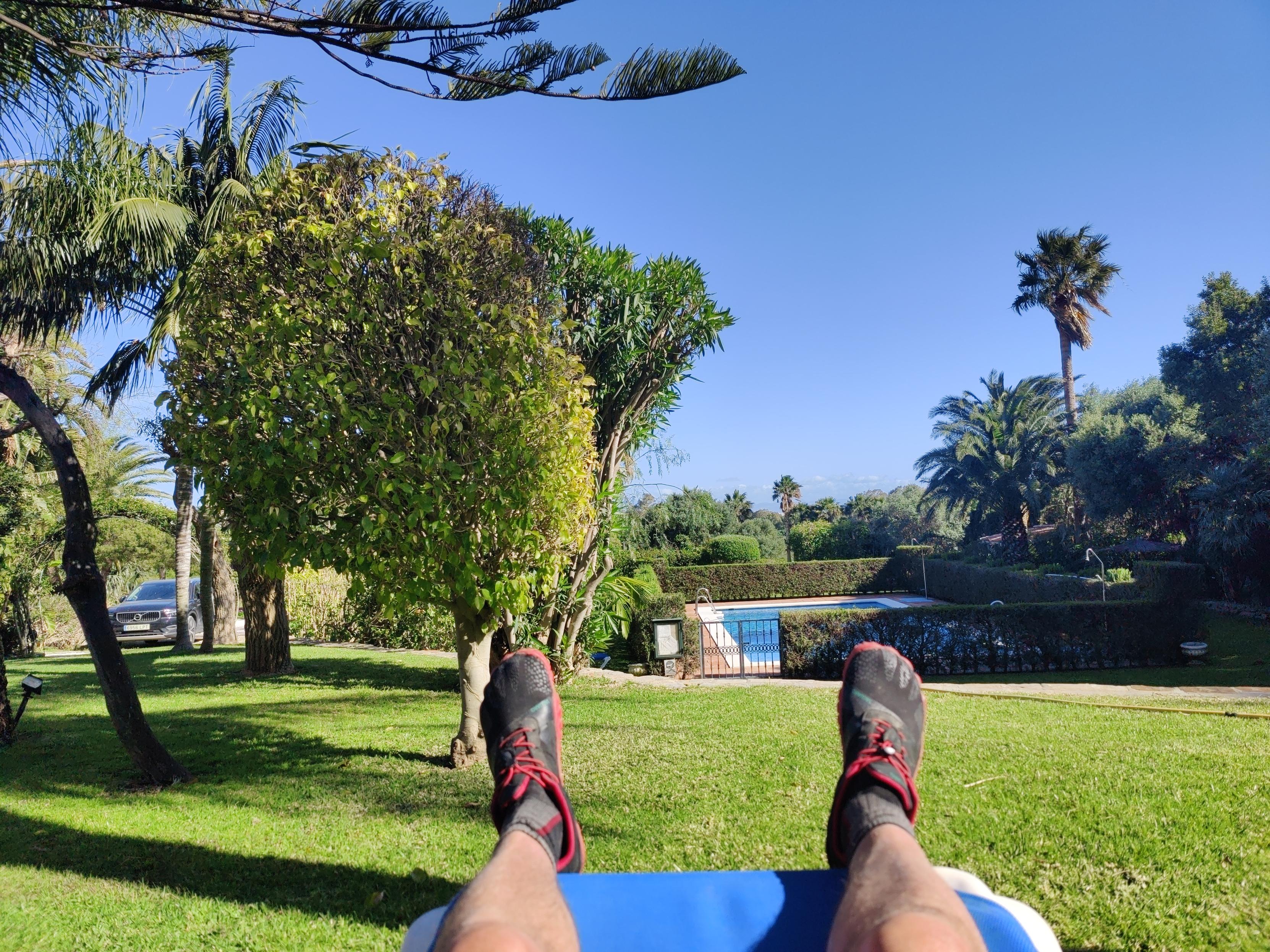 A pair of legs with red and black trainers is jutting out from a blue sunbed. There is green grass and palm trees and view to a swimming pool