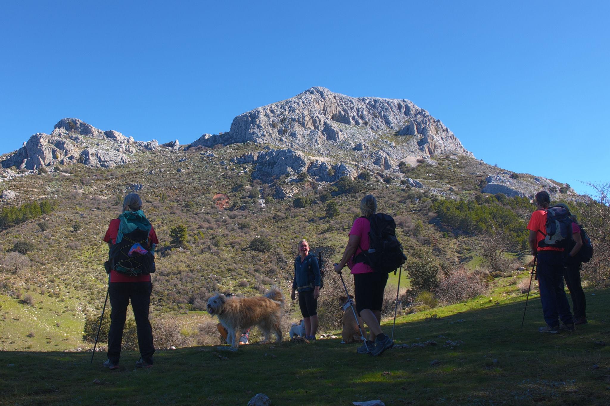 A small group of hikers with dogs stand in the shade in front of a rocky mountain called Majalijar in Spains Sierra de Huetor