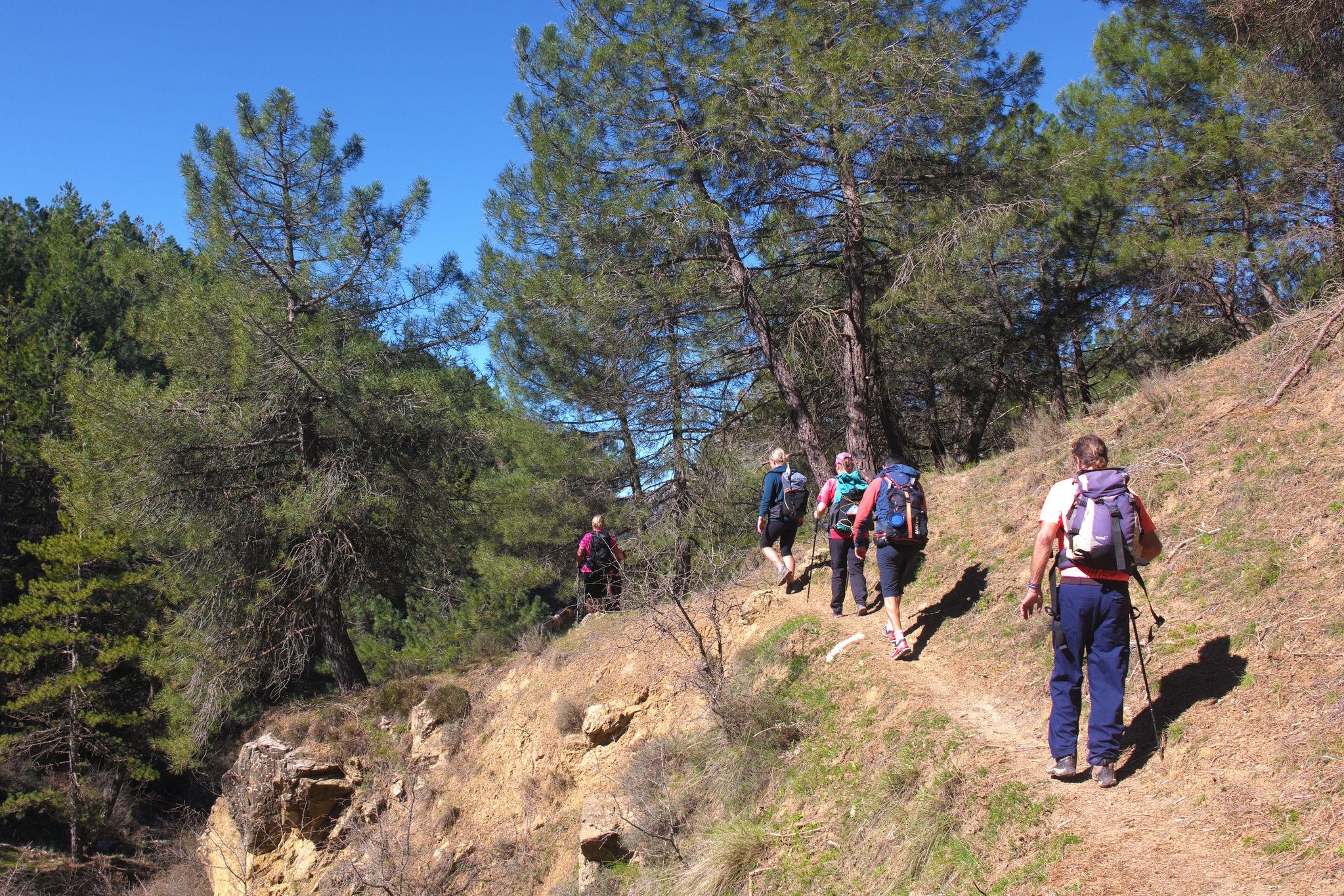 Hikers pass along a narrow path on the right and enter a wooded area