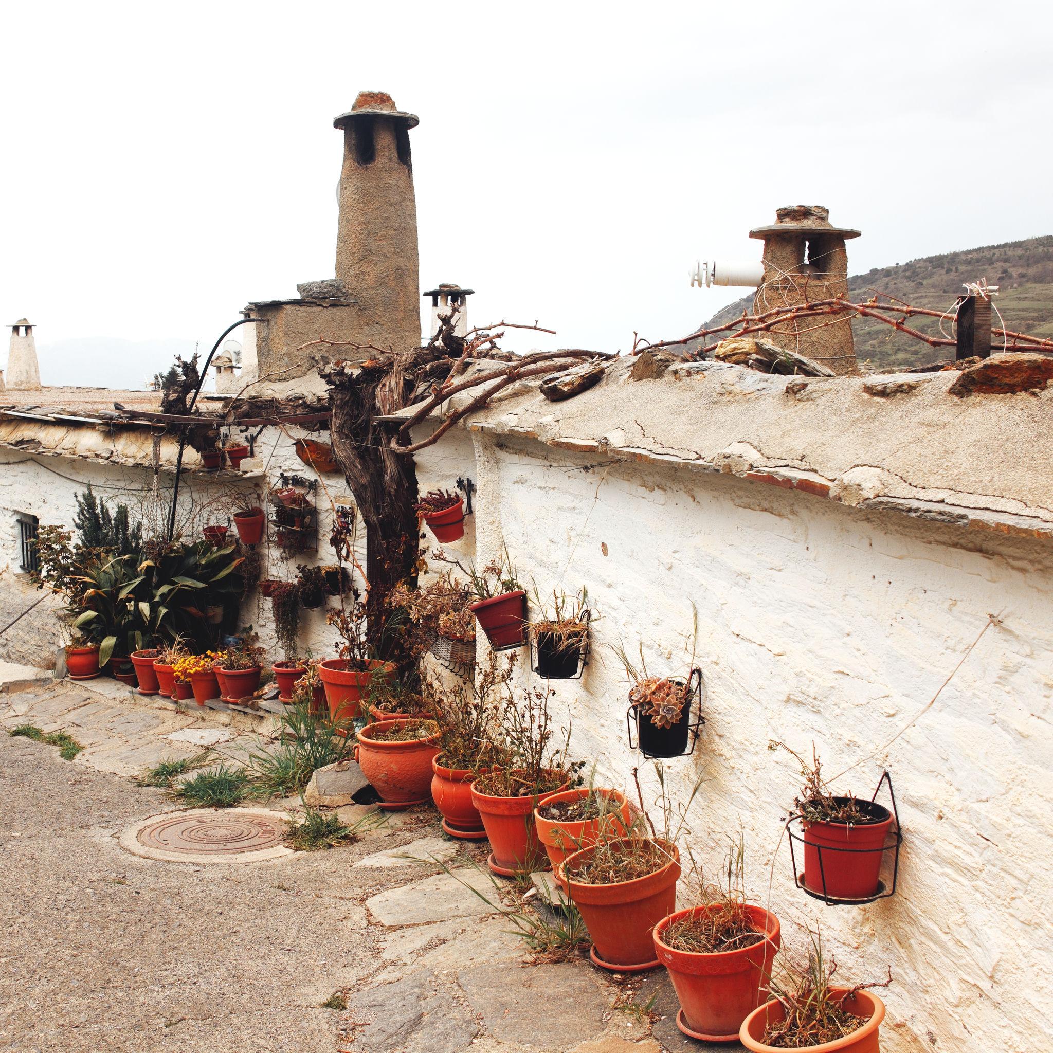 A row of red clay pots filled with withered flowers stands in front of a white house wall. Above are the traditional chimney pots seen in this part of Spain