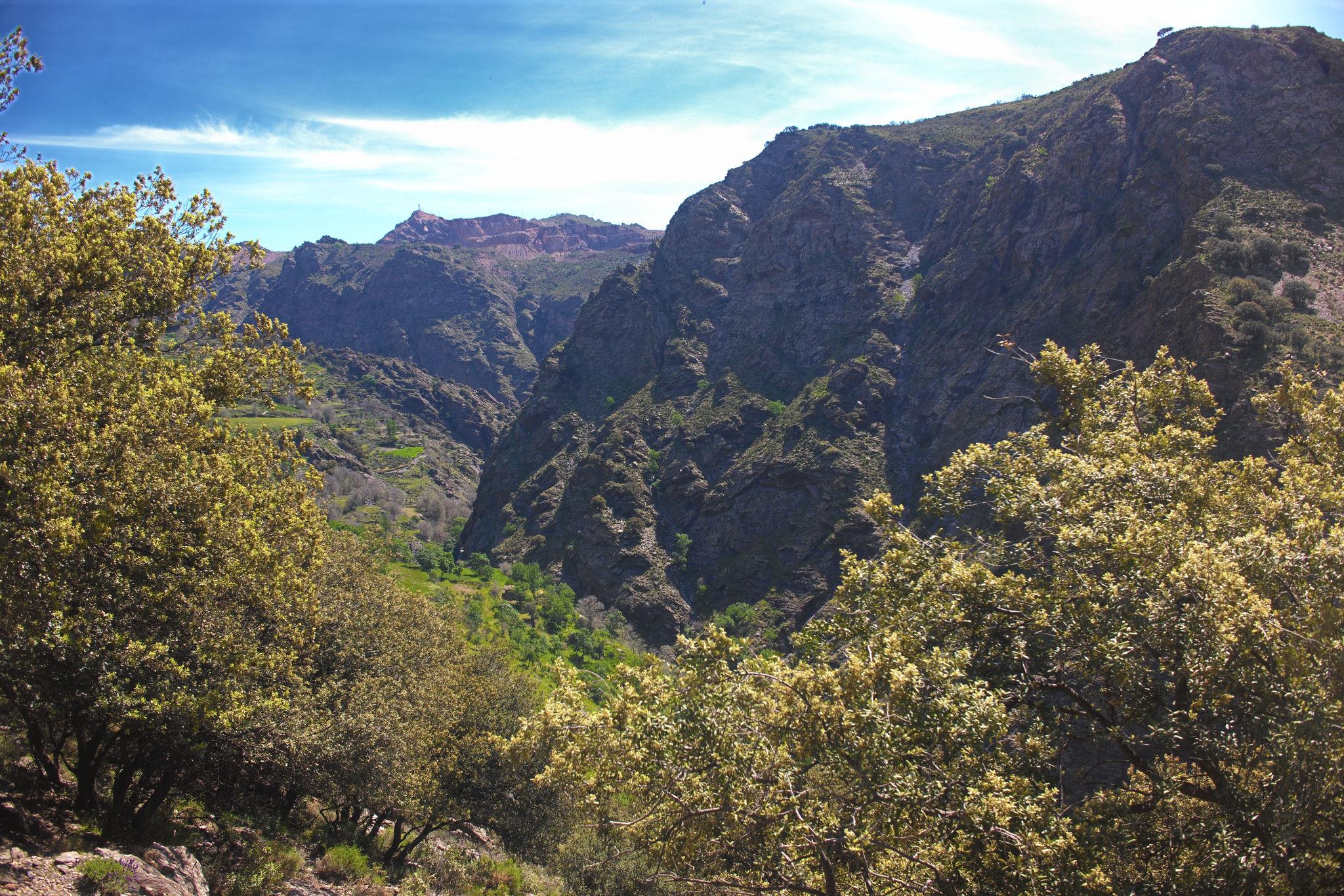 Framed between two trees is the Rio Trevelez valley and hills rising on the far side