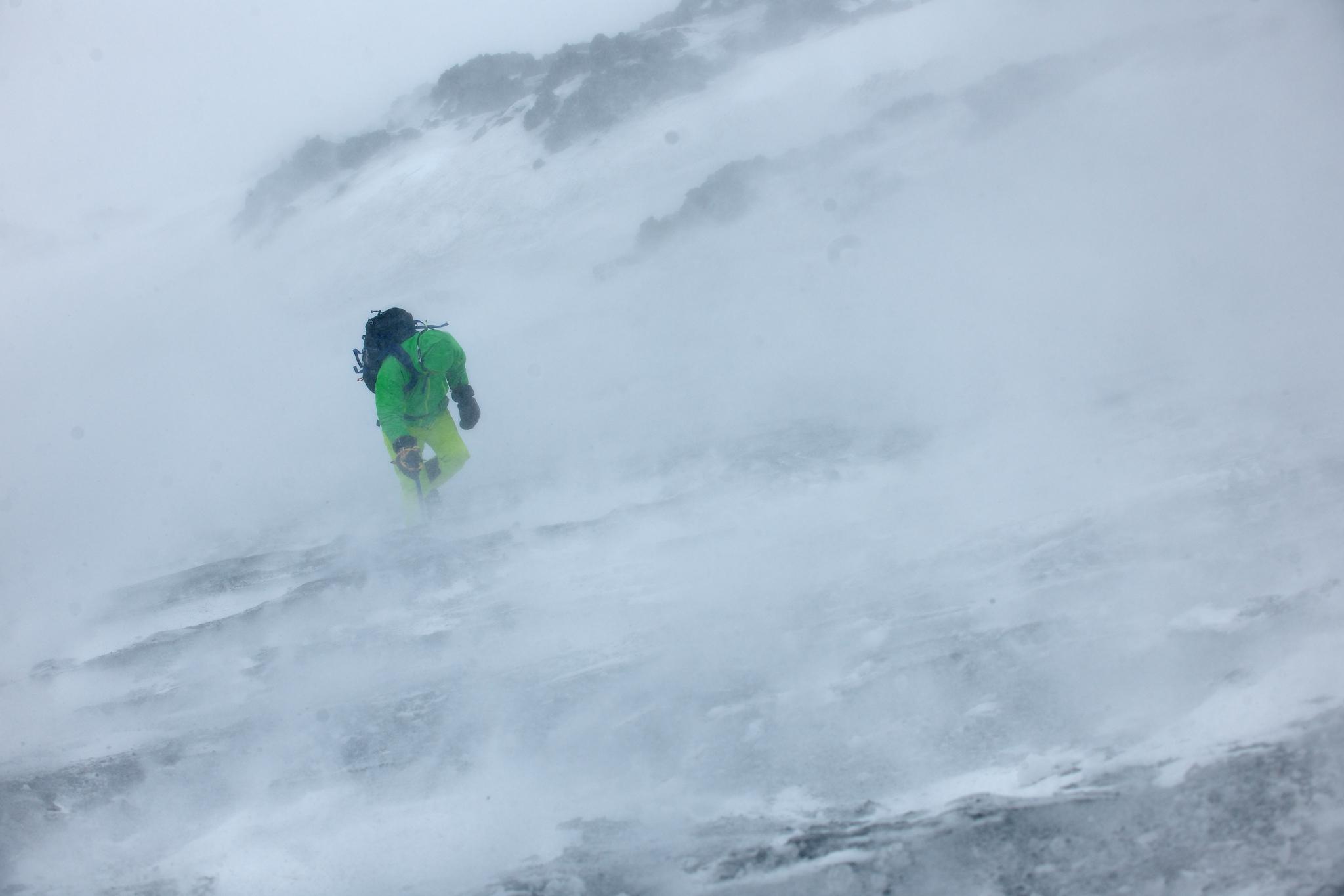Difficult conditions of driving wind and snow. A person with green jacket tries to make headway into the wind. Some rocks appear