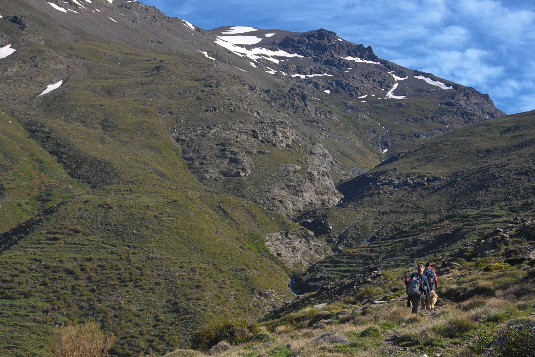 Two people and a dog in the lower right pass right of a deep river valley. Above and ahead rises a peak (Cerro de Caballo) with some snow fields