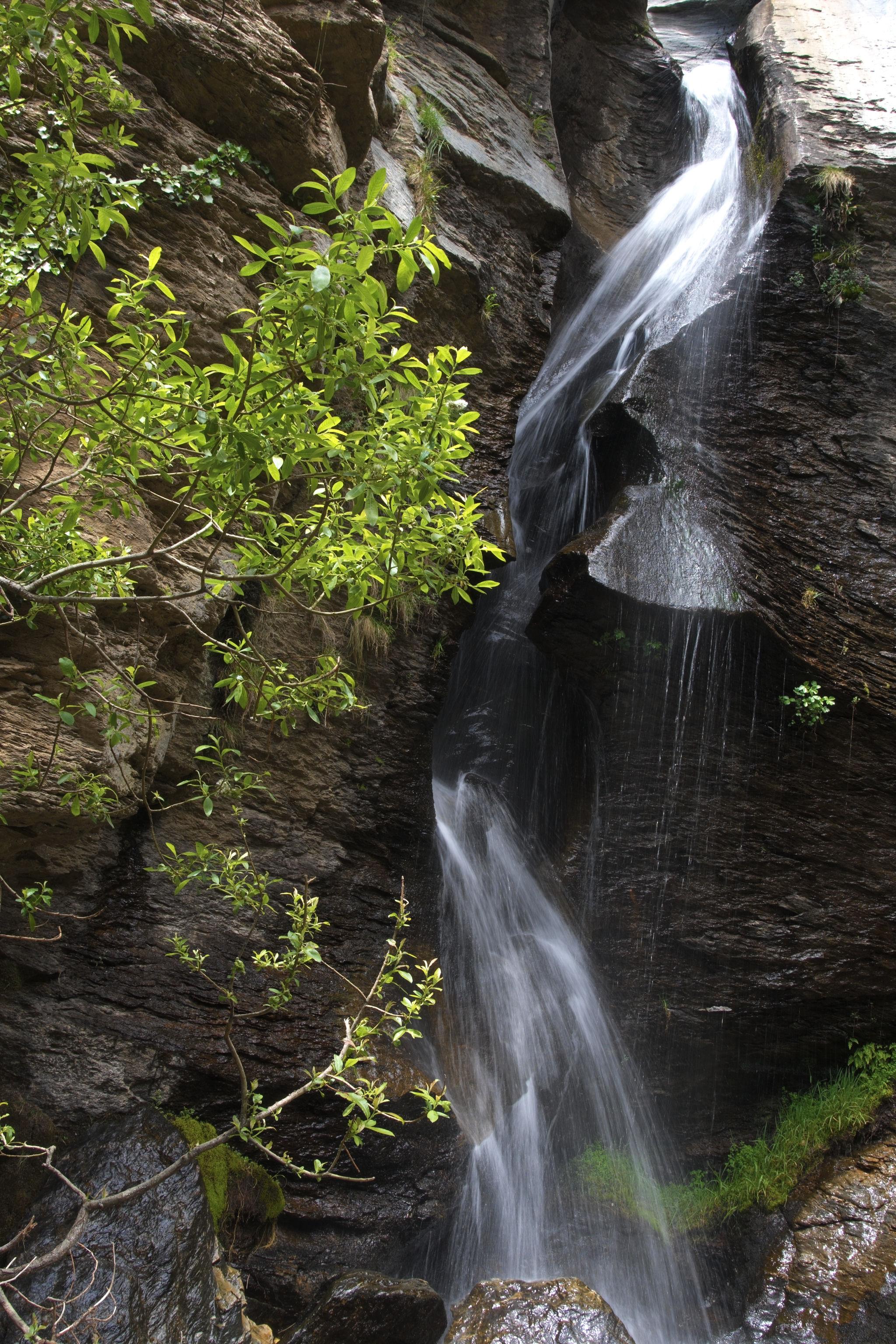 A spectacular waterfall bounces of opposing rock walls as it plunger downhill.  Trees illuminated in the sun to the left