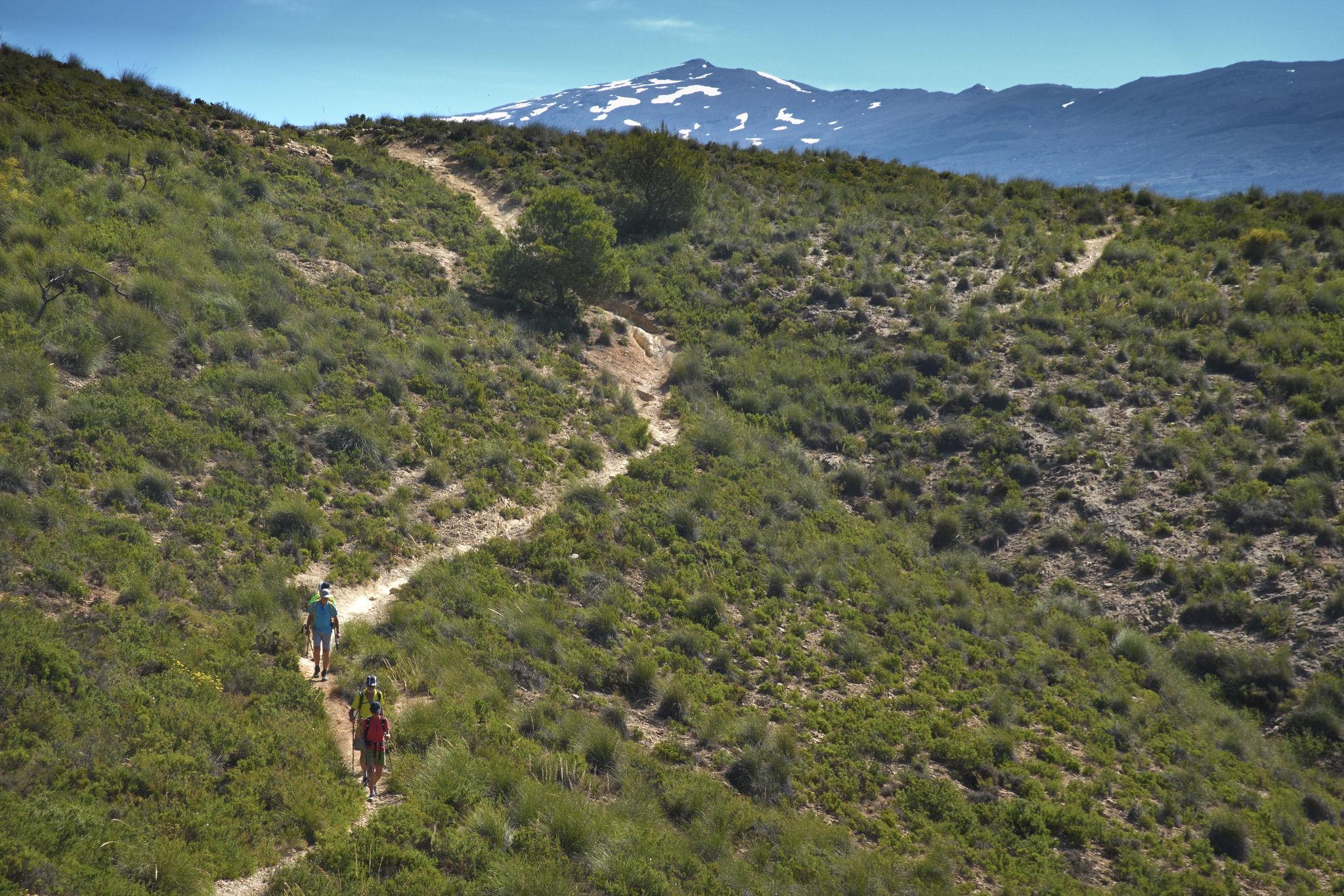 3 hikers in the lower left walking down a mountain trail