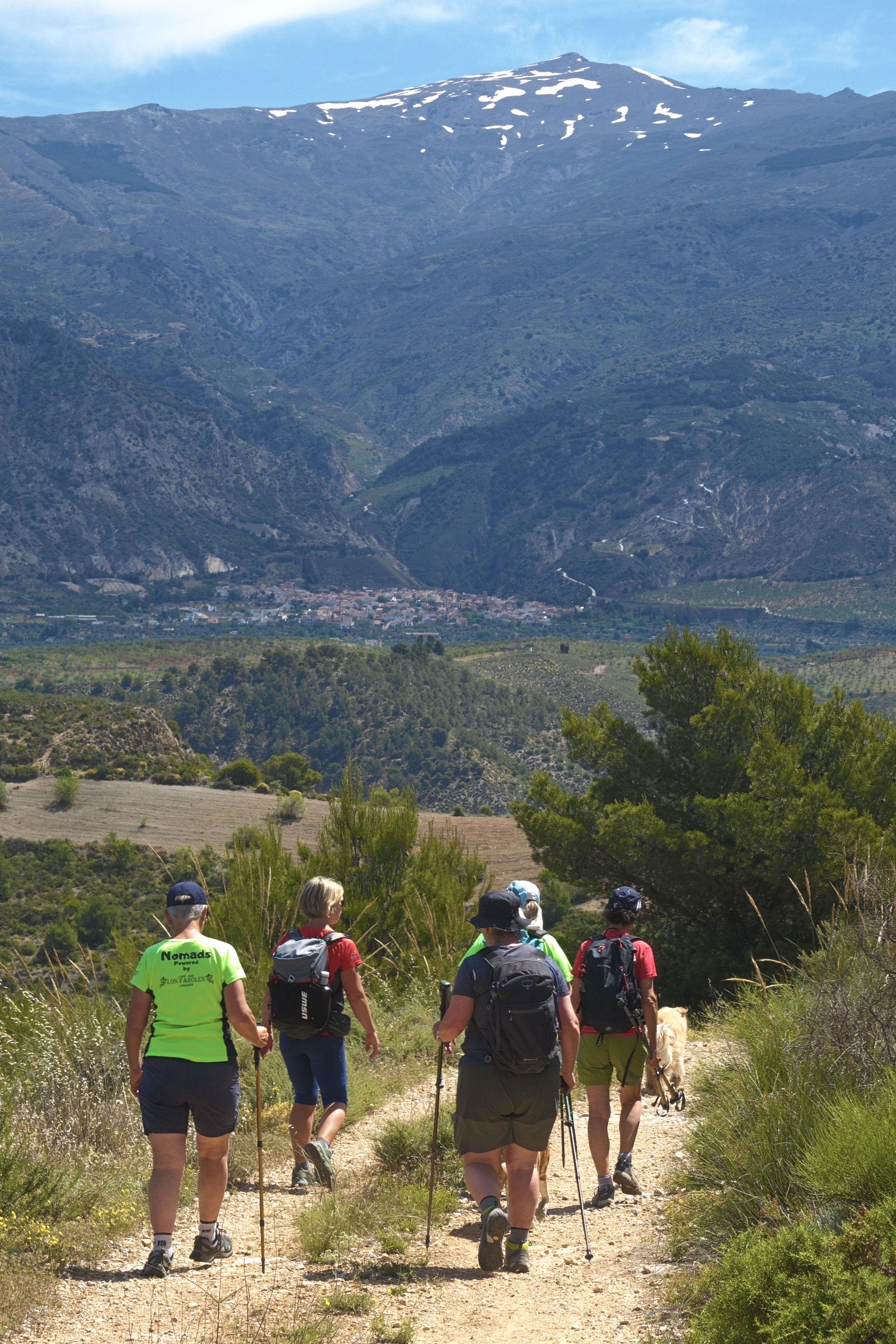 5 hikers walk down a wide trail with the 3009m high Cerro de Caballo rising in the distance