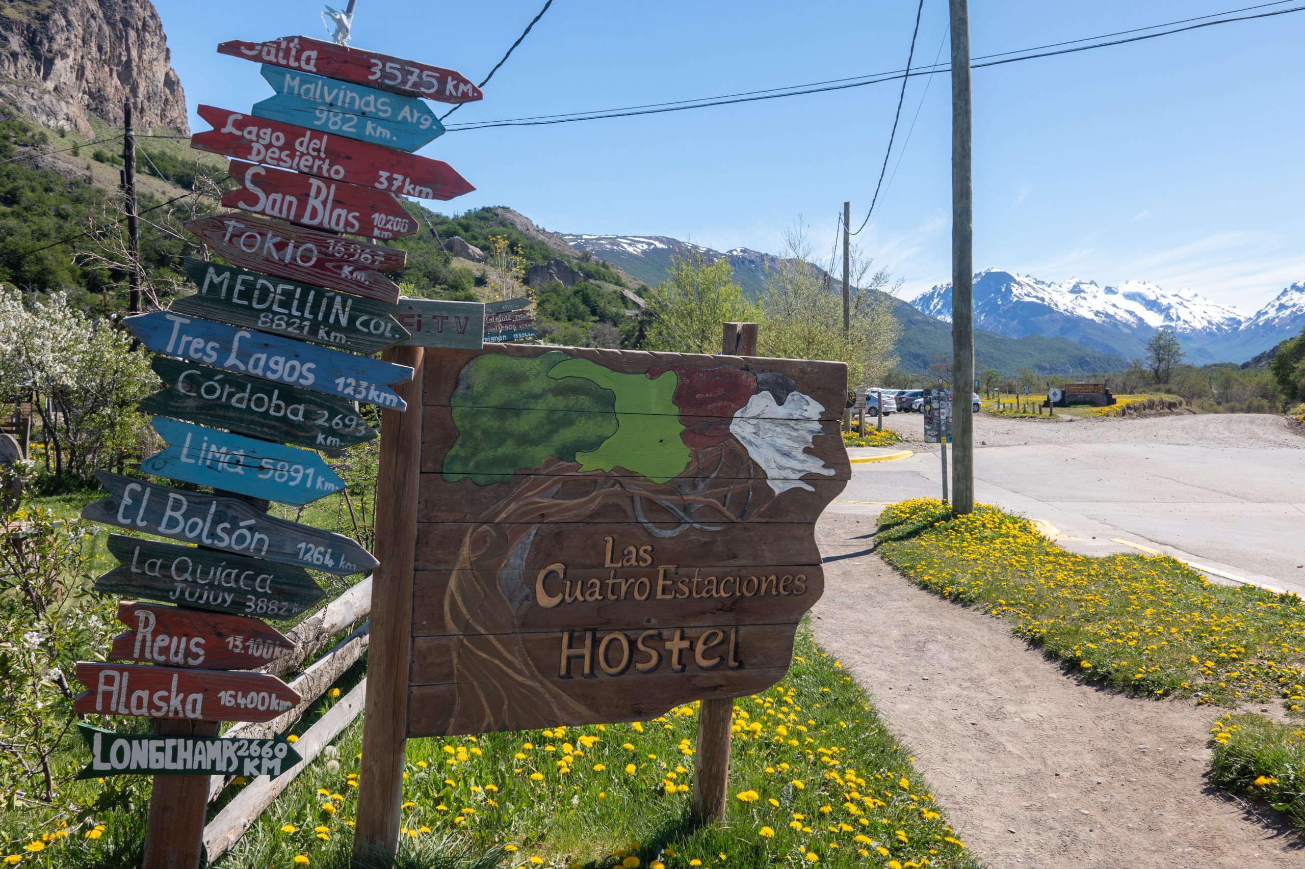 Patagonian Patience and Dive-Bombing Birds