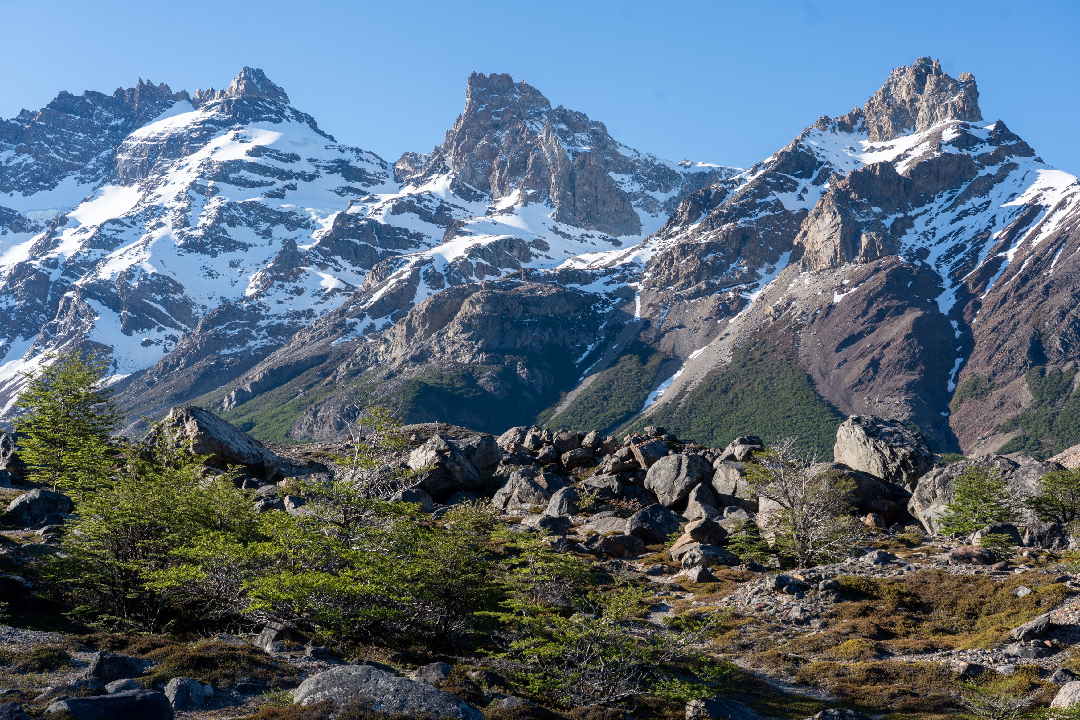 Trail alongside Rio Fitzroy