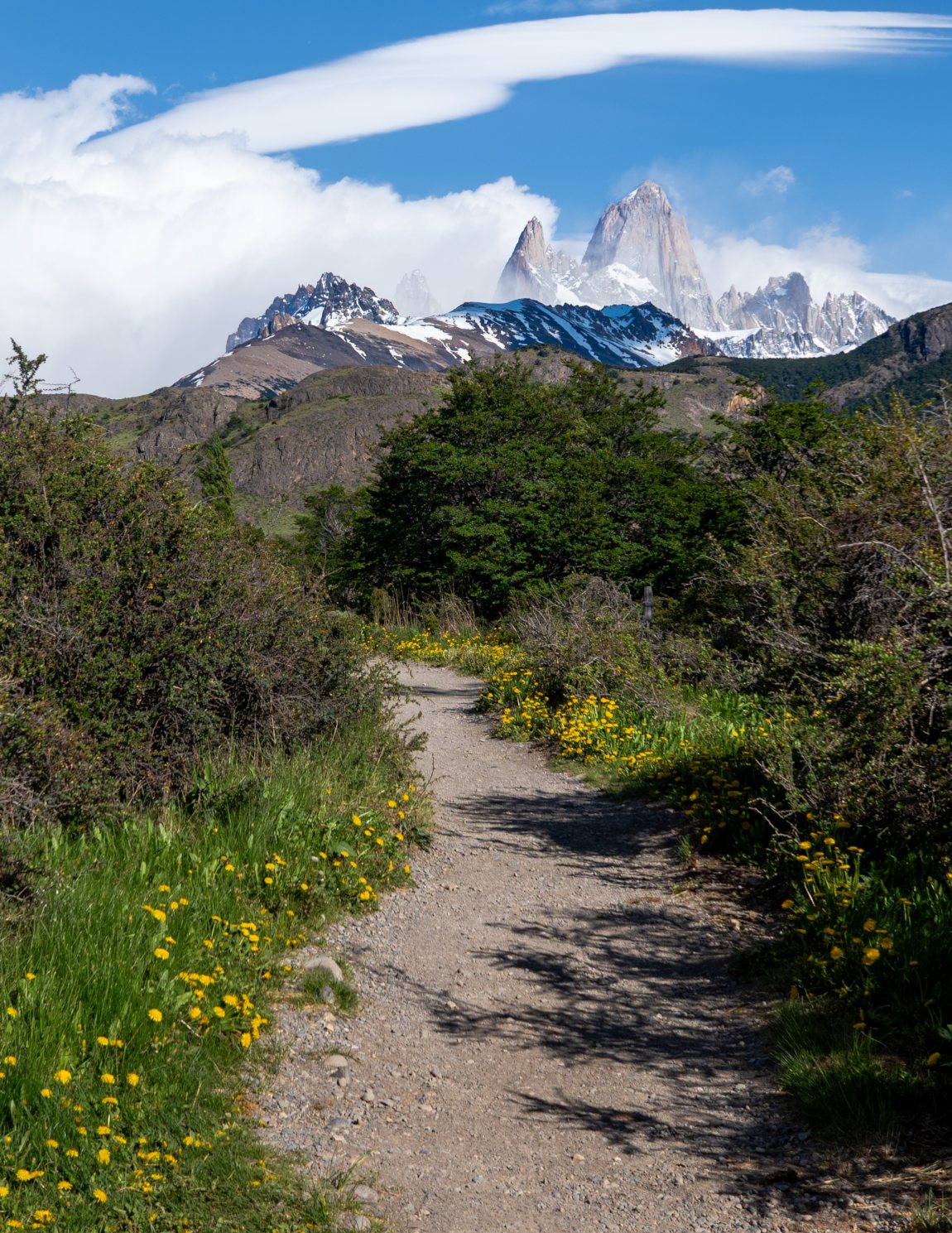 Path from the park entrance