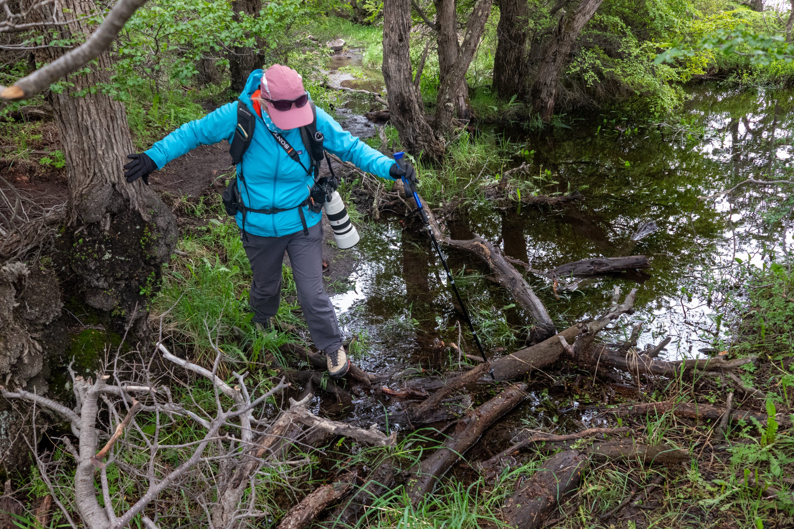 Boggy trail after recent rains