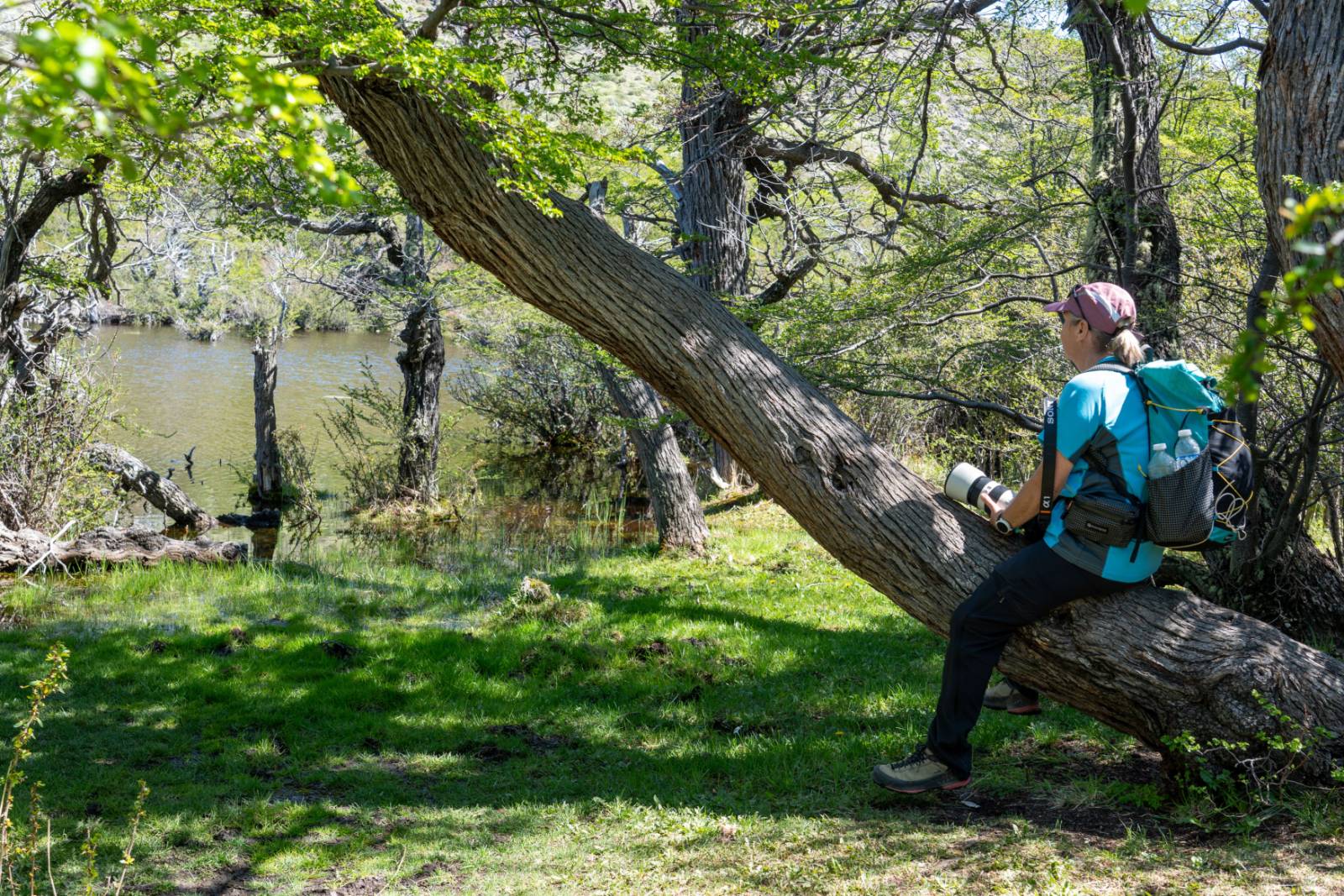 Kiersten camouflaged (not) in the trees